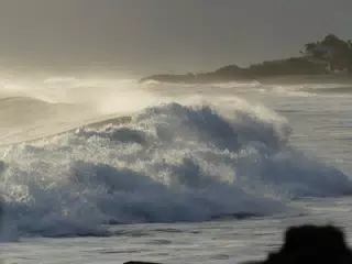 Life Near the Rocks Around Sunset, Las Penitas Beach
