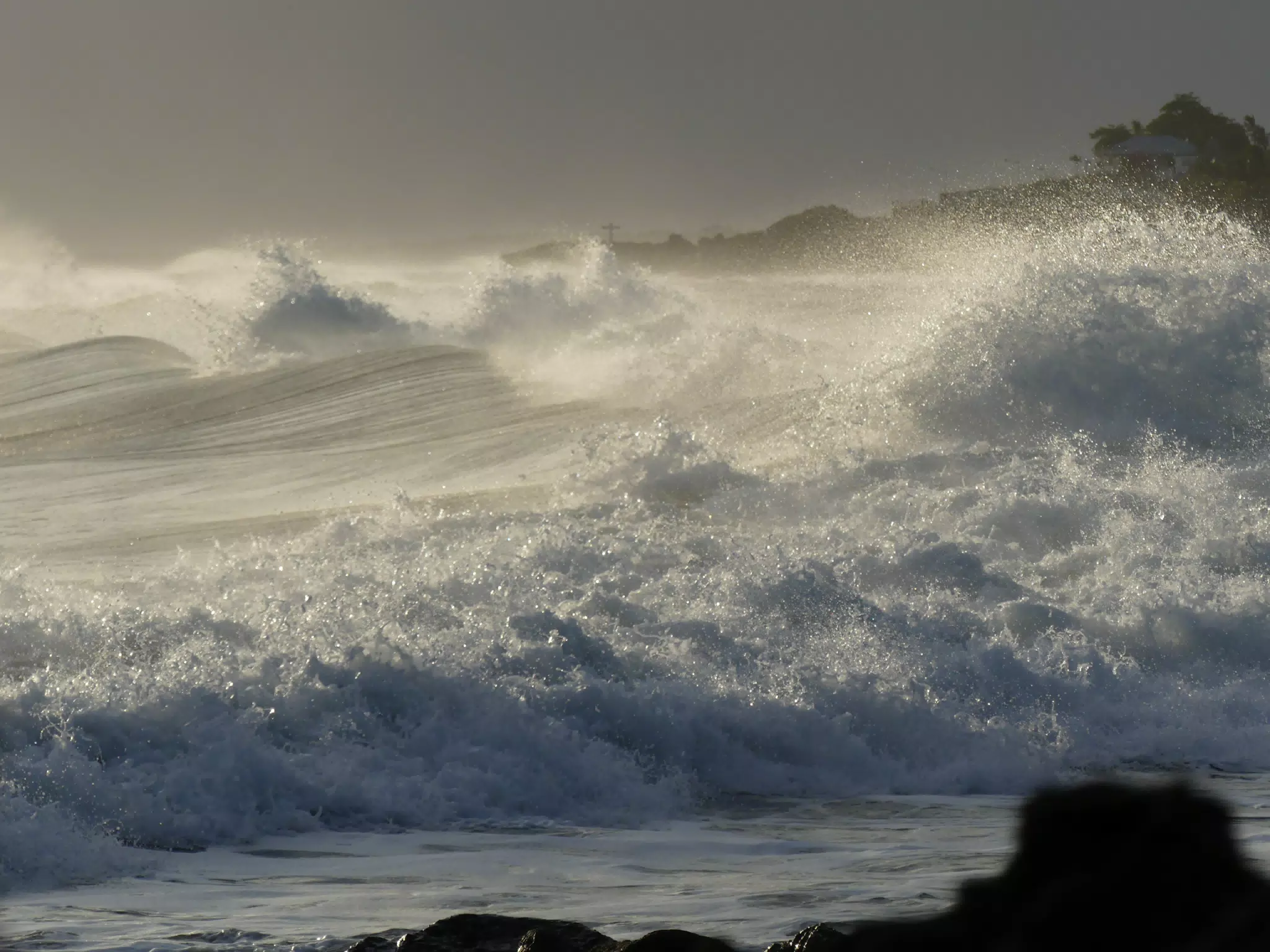 Life Near the Rocks Around Sunset, Las Penitas Beach