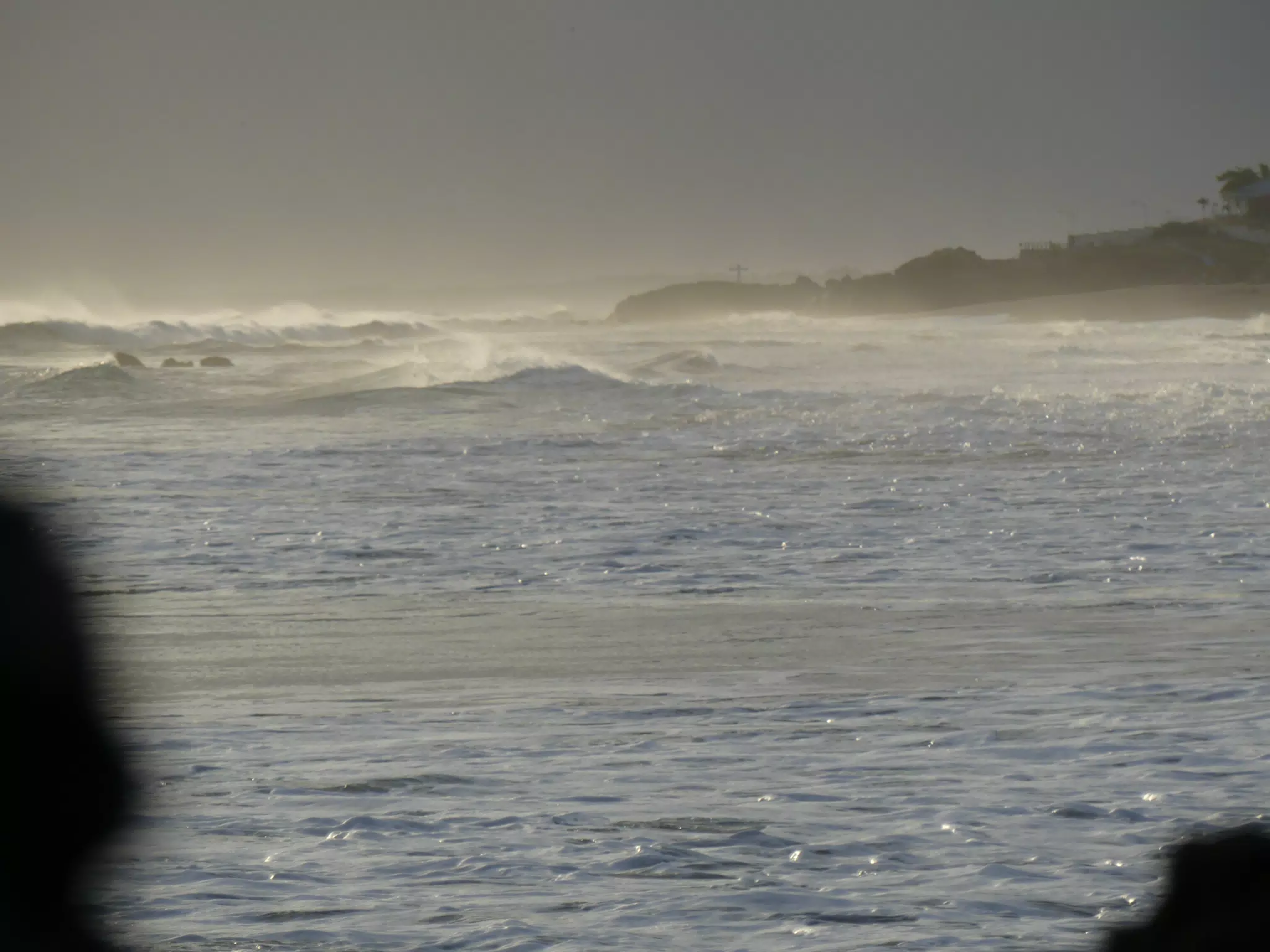 Life Near the Rocks Around Sunset, Las Penitas Beach