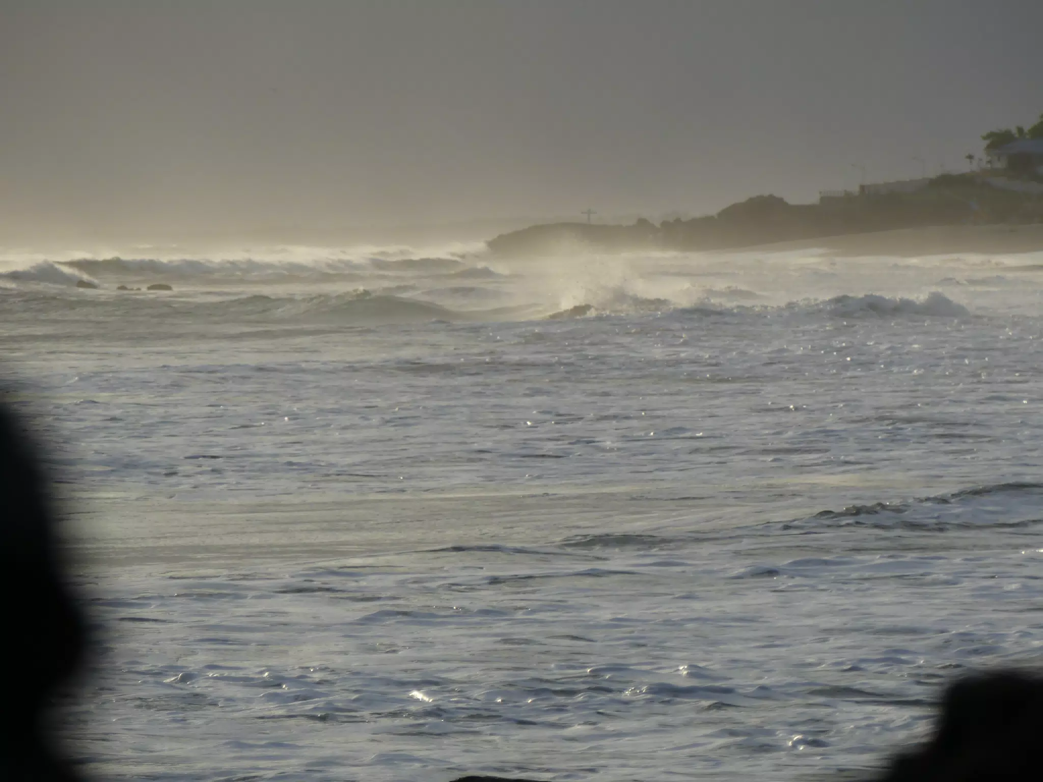 Life Near the Rocks Around Sunset, Las Penitas Beach