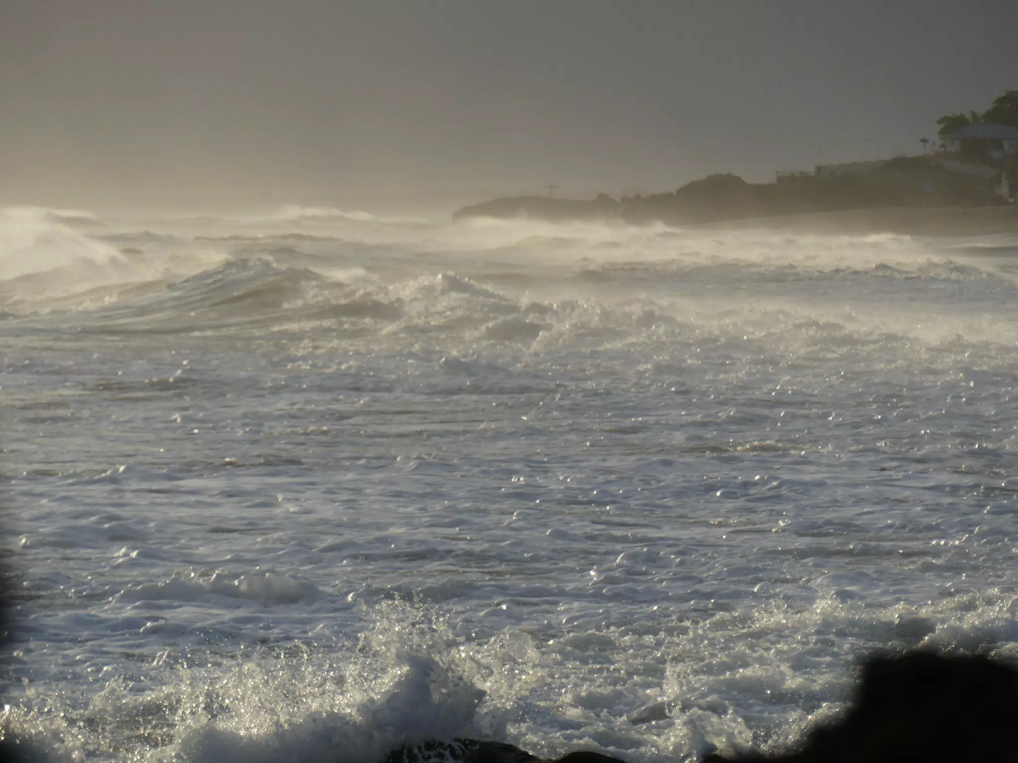 Life Near the Rocks Around Sunset, Las Penitas Beach