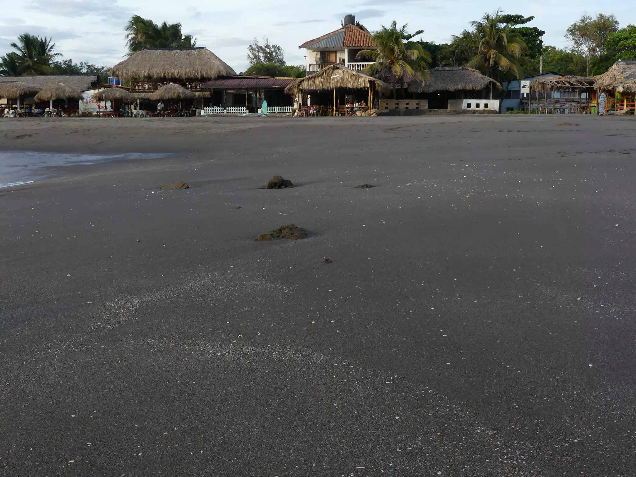 Life Near the Rocks Around Sunset, Las Penitas Beach