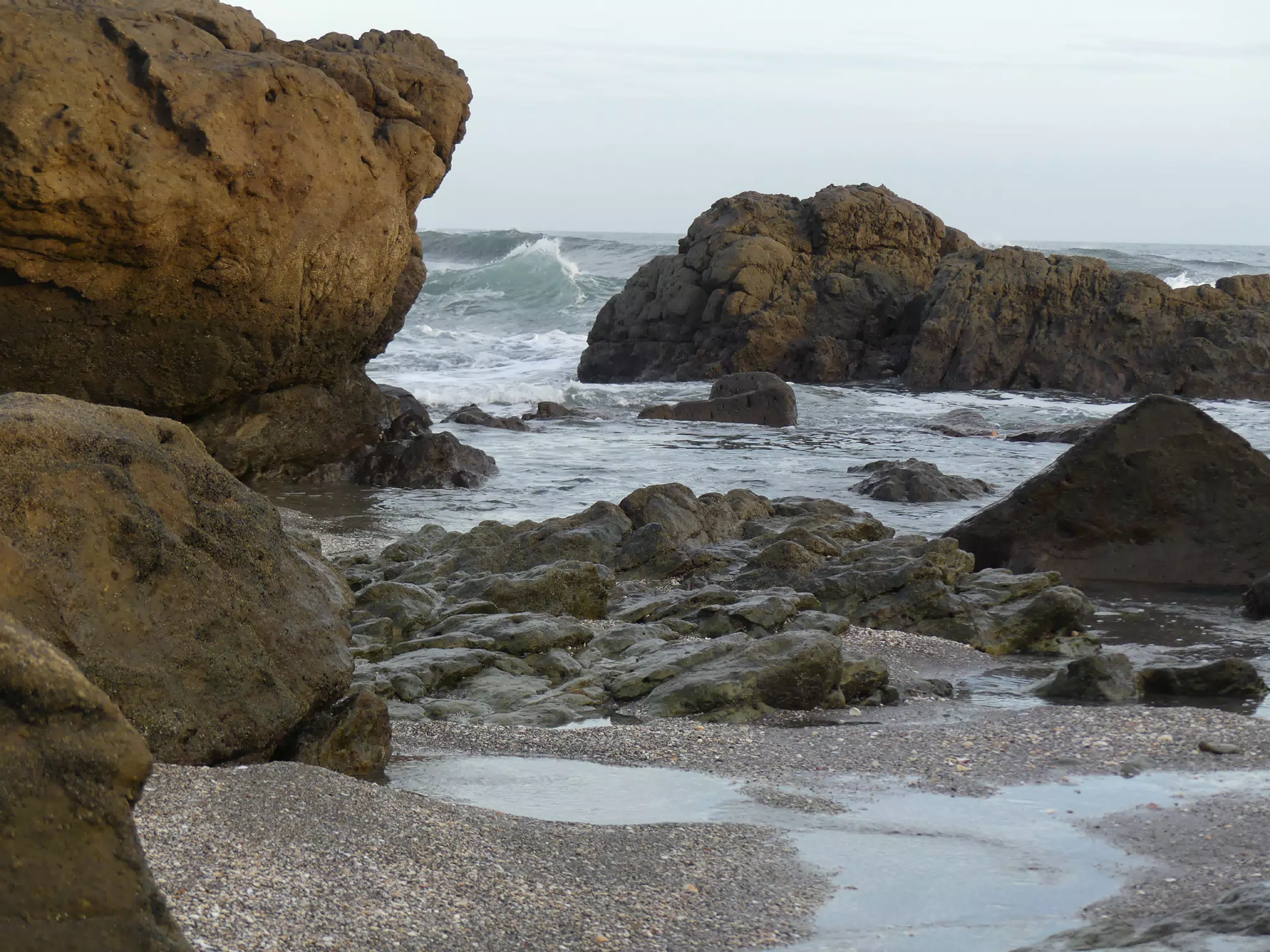 Life Near the Rocks Around Sunset, Las Penitas Beach