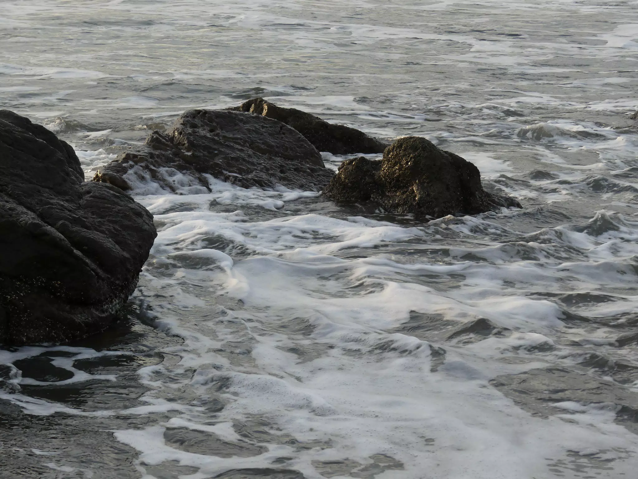 Life Near the Rocks Around Sunset, Las Penitas Beach