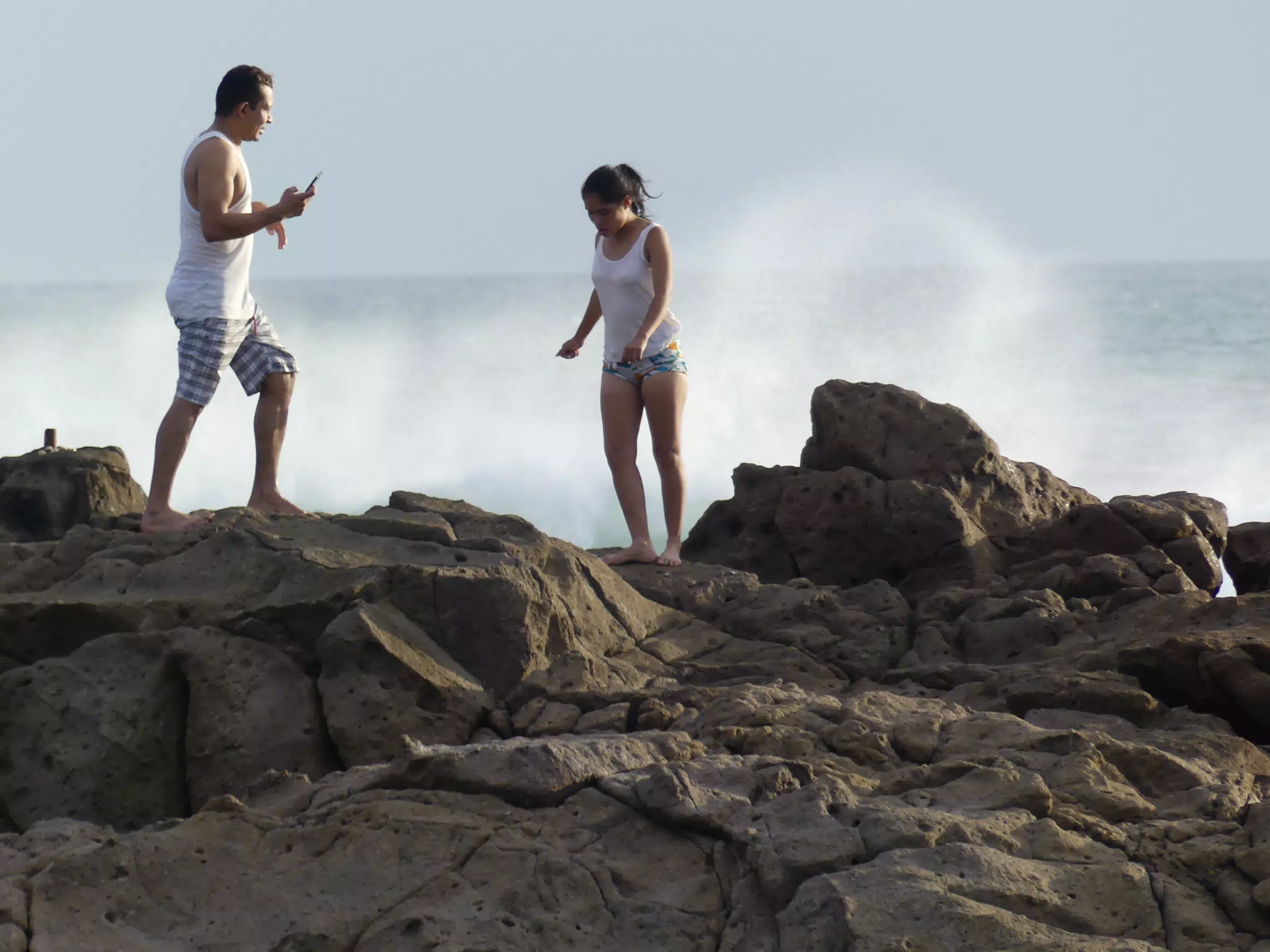 Life Near the Rocks Around Sunset, Las Penitas Beach
