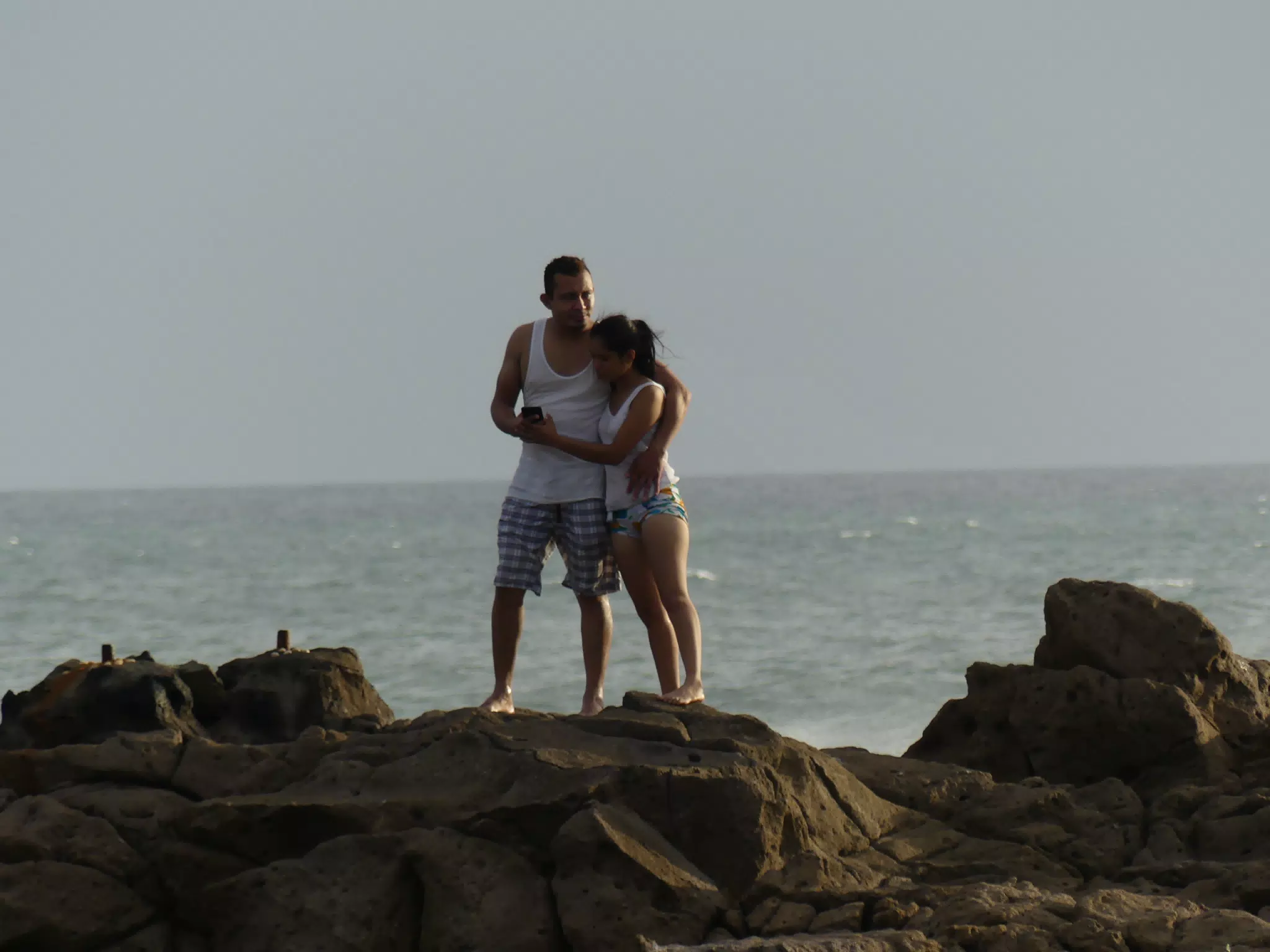 Life Near the Rocks Around Sunset, Las Penitas Beach