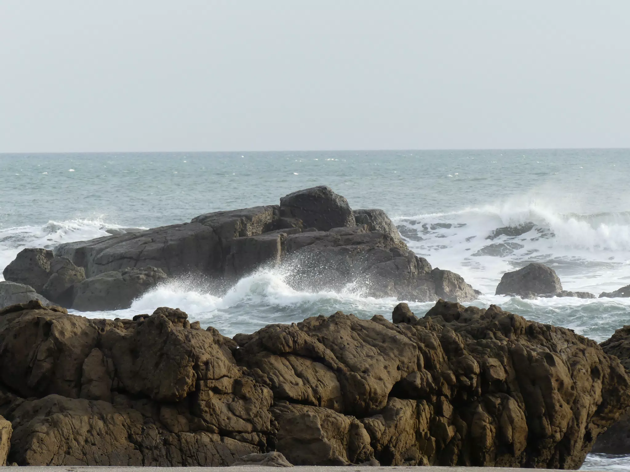 Life Near the Rocks Around Sunset, Las Penitas Beach