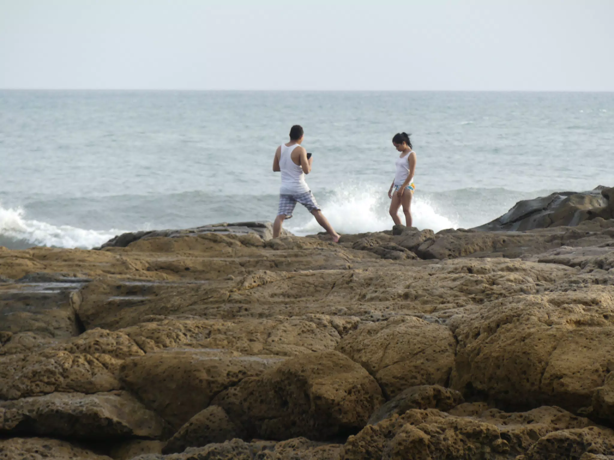 Life Near the Rocks Around Sunset, Las Penitas Beach