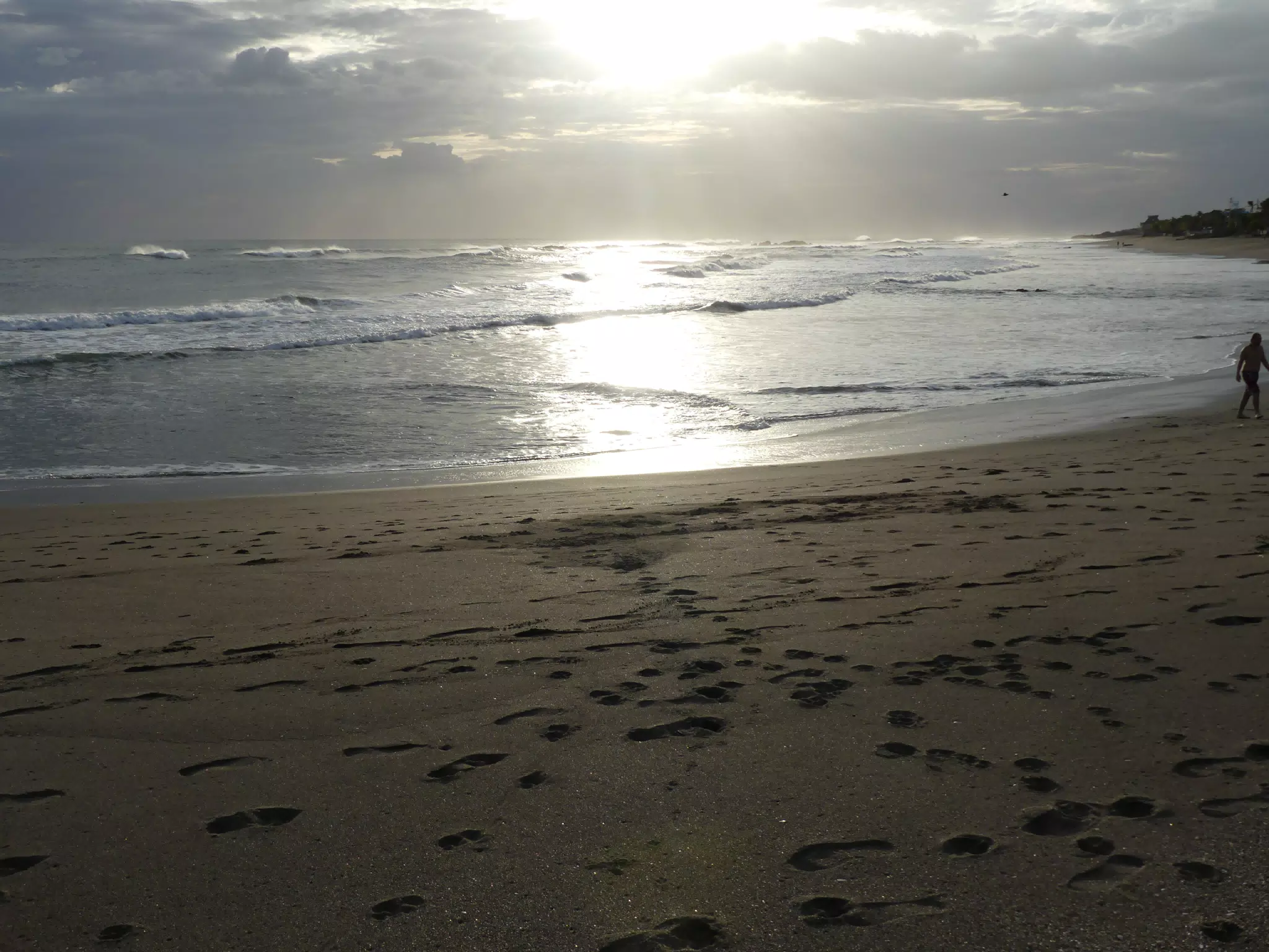 Life Near the Rocks Around Sunset, Las Penitas Beach