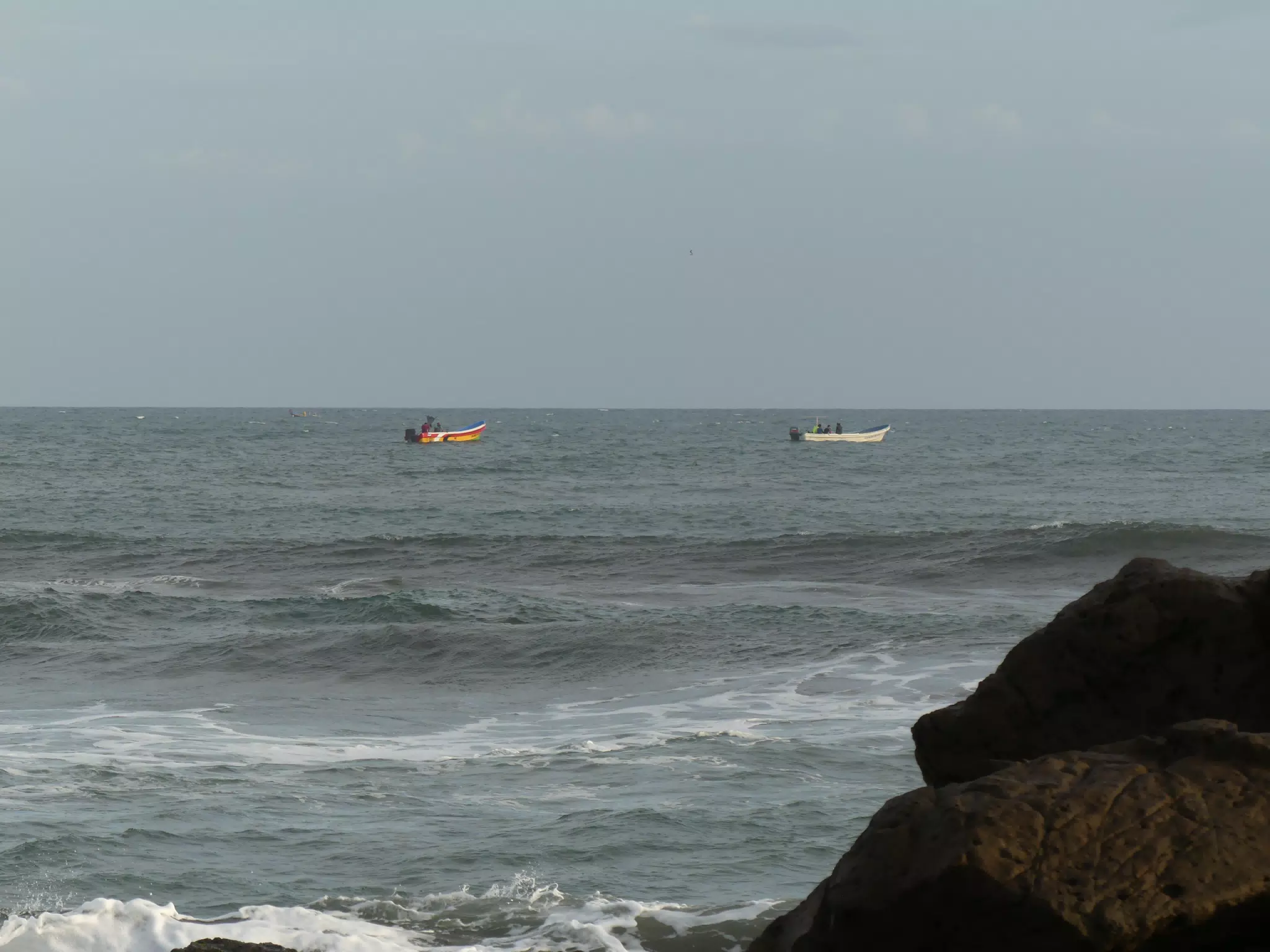 Life Near the Rocks Around Sunset, Las Penitas Beach