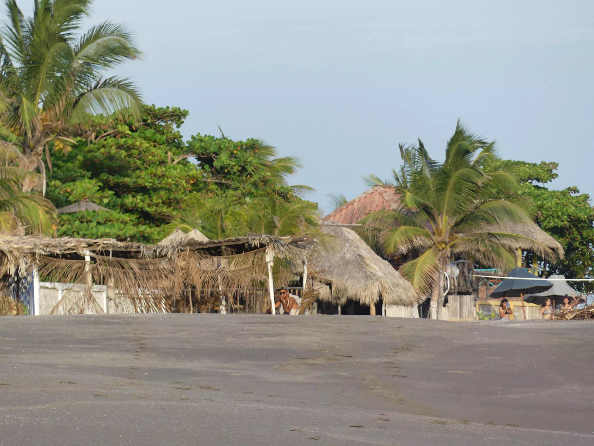 Life Near the Rocks Around Sunset, Las Penitas Beach