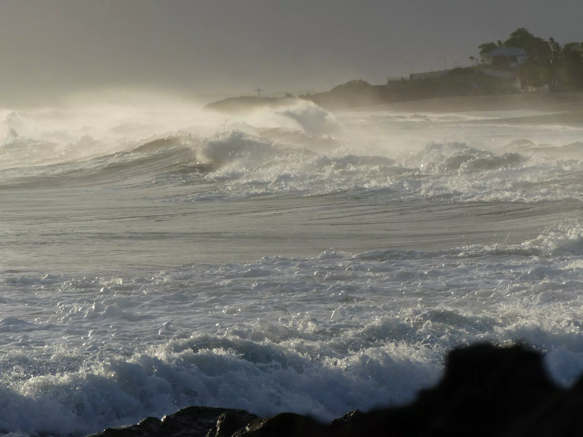 Life Near the Rocks Around Sunset, Las Penitas Beach