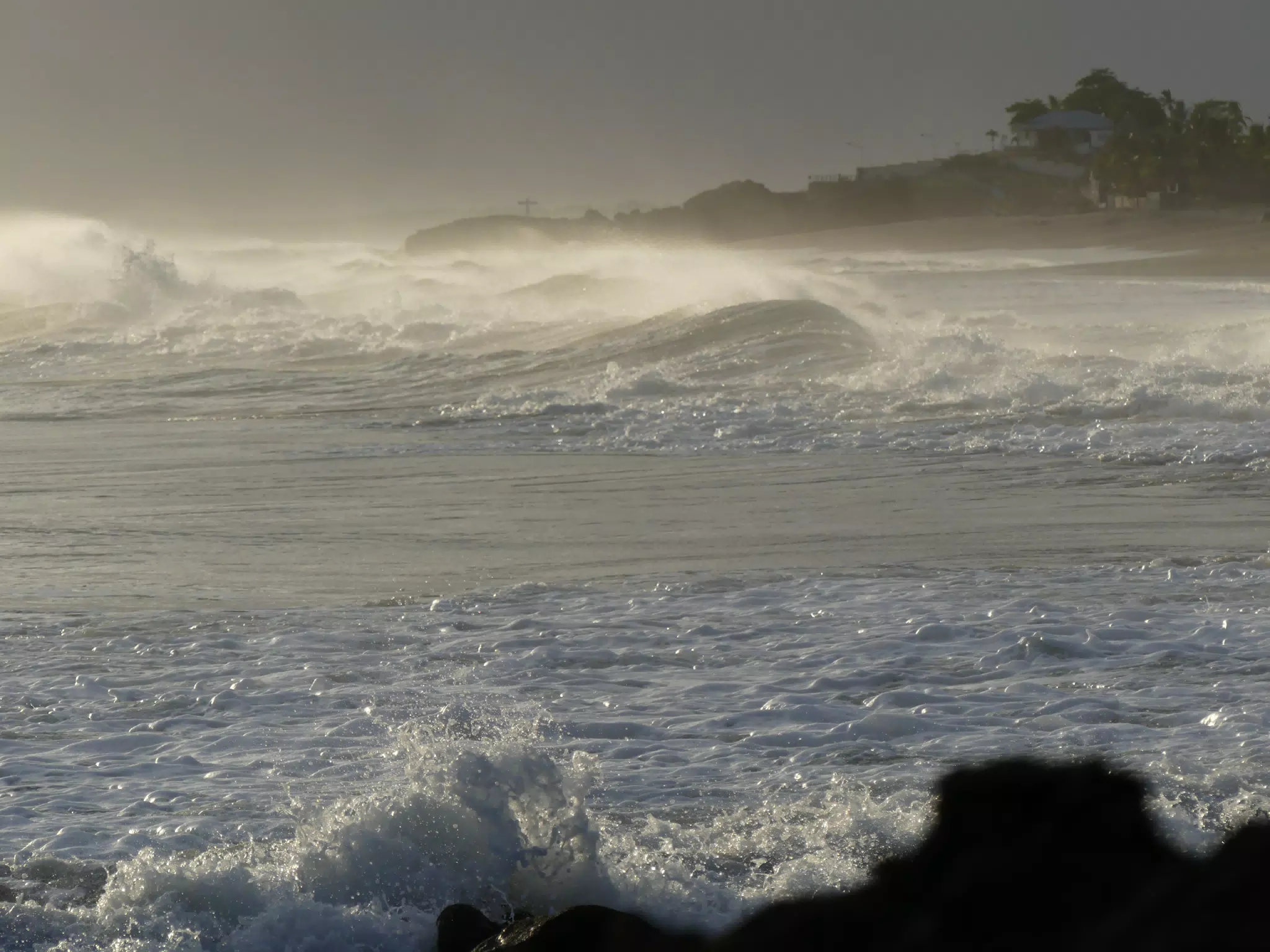 Life Near the Rocks Around Sunset, Las Penitas Beach