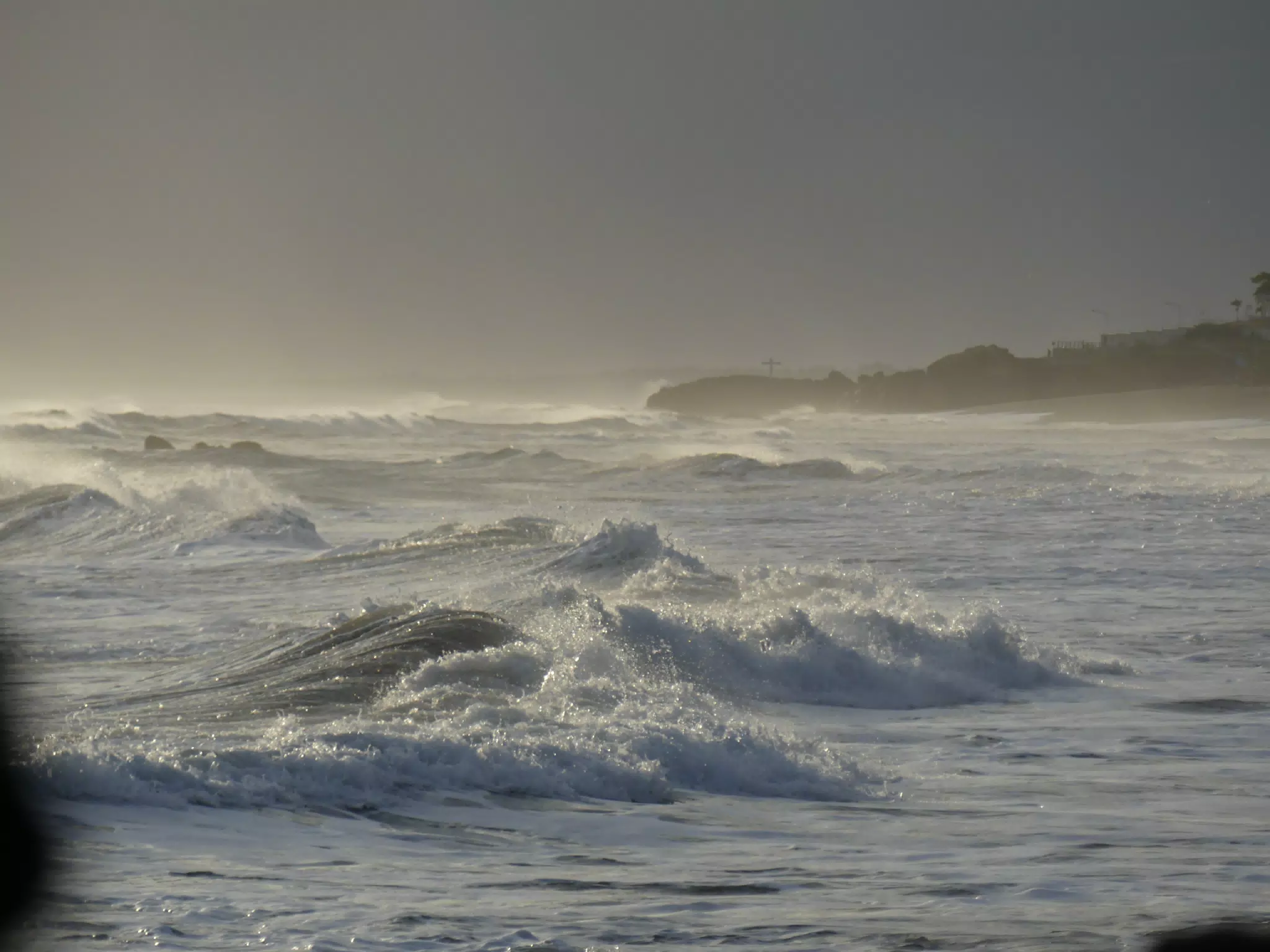 Life Near the Rocks Around Sunset, Las Penitas Beach