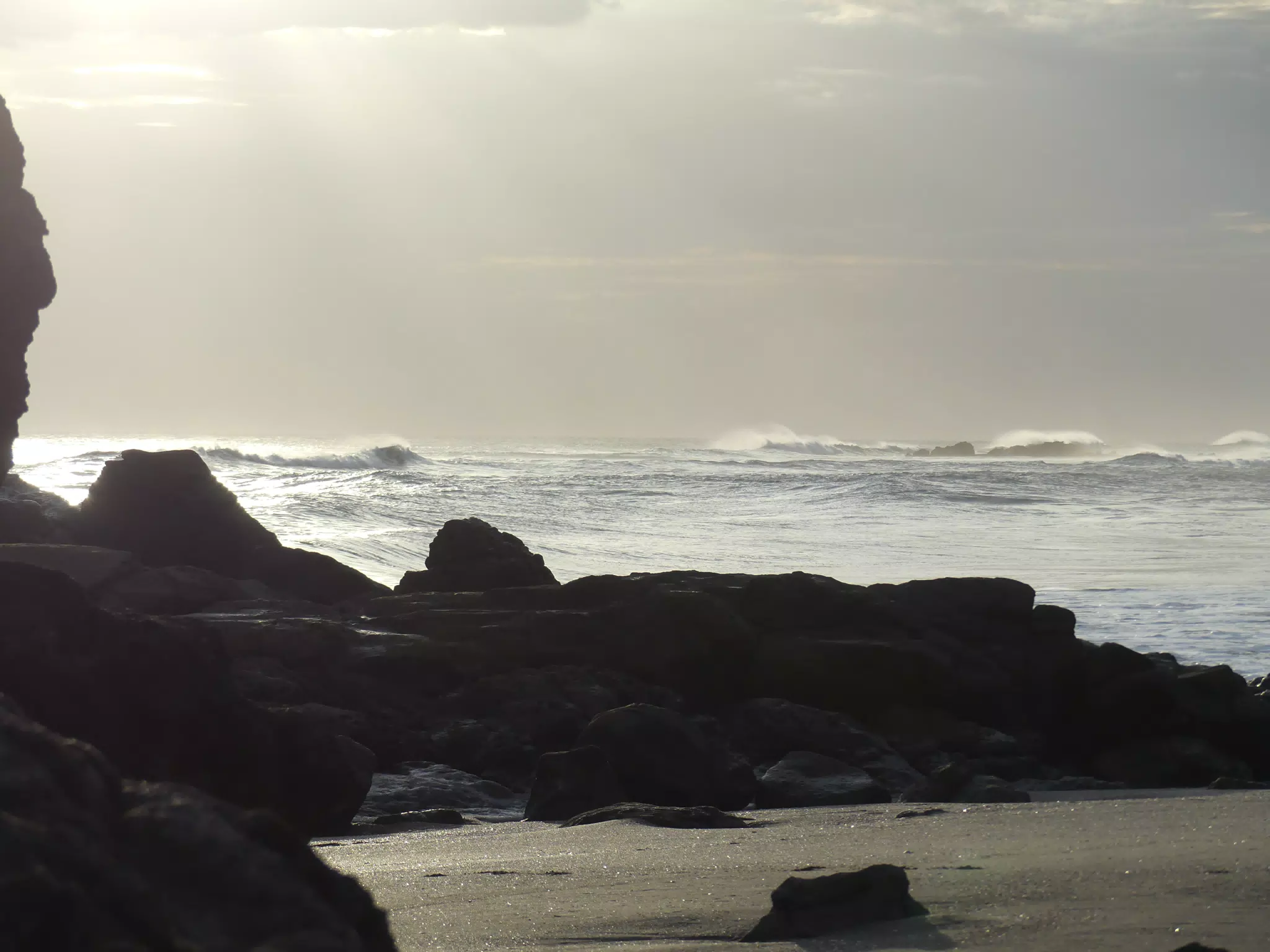 Life Near the Rocks Around Sunset, Las Penitas Beach
