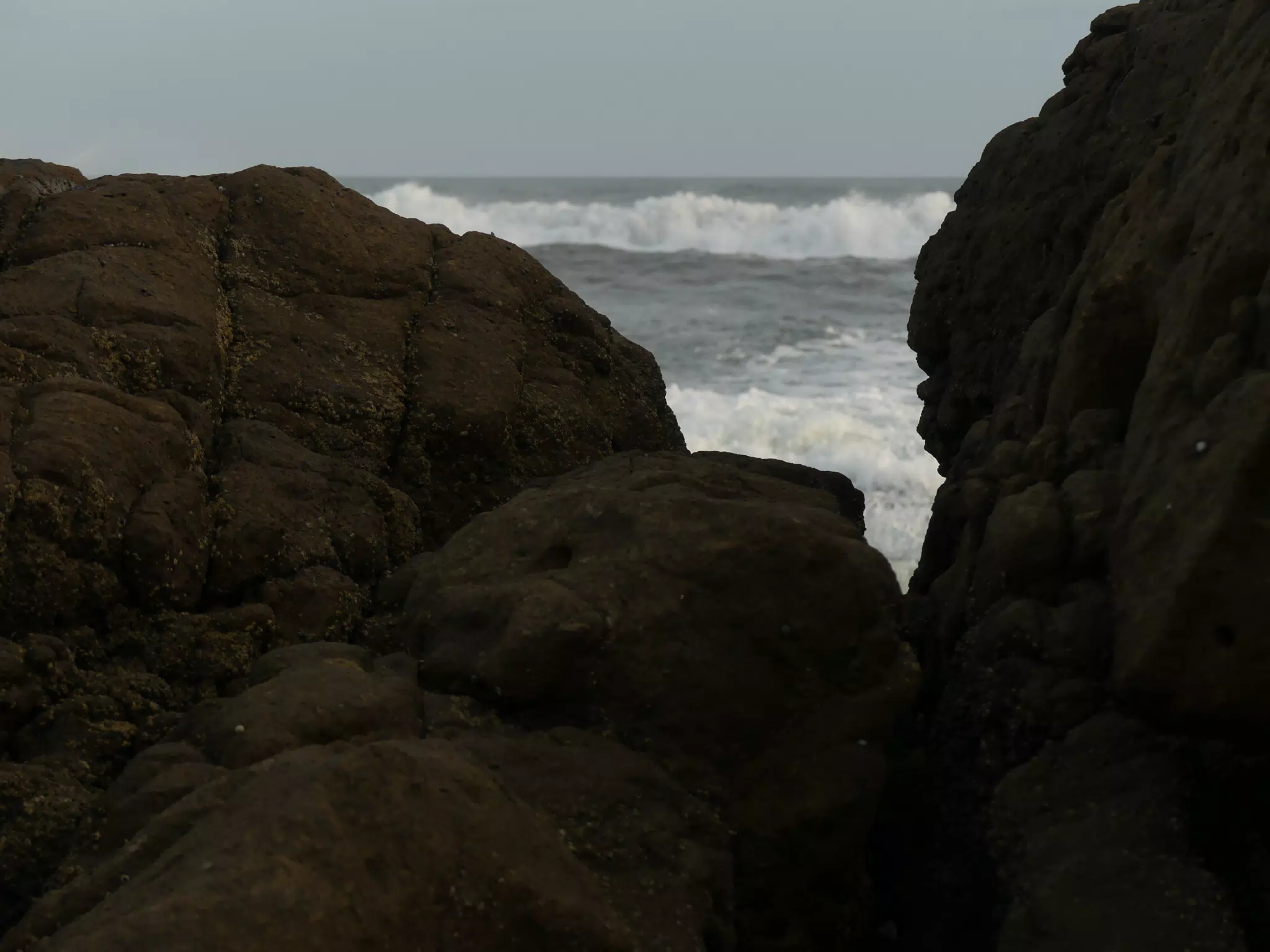 Life Near the Rocks Around Sunset, Las Penitas Beach