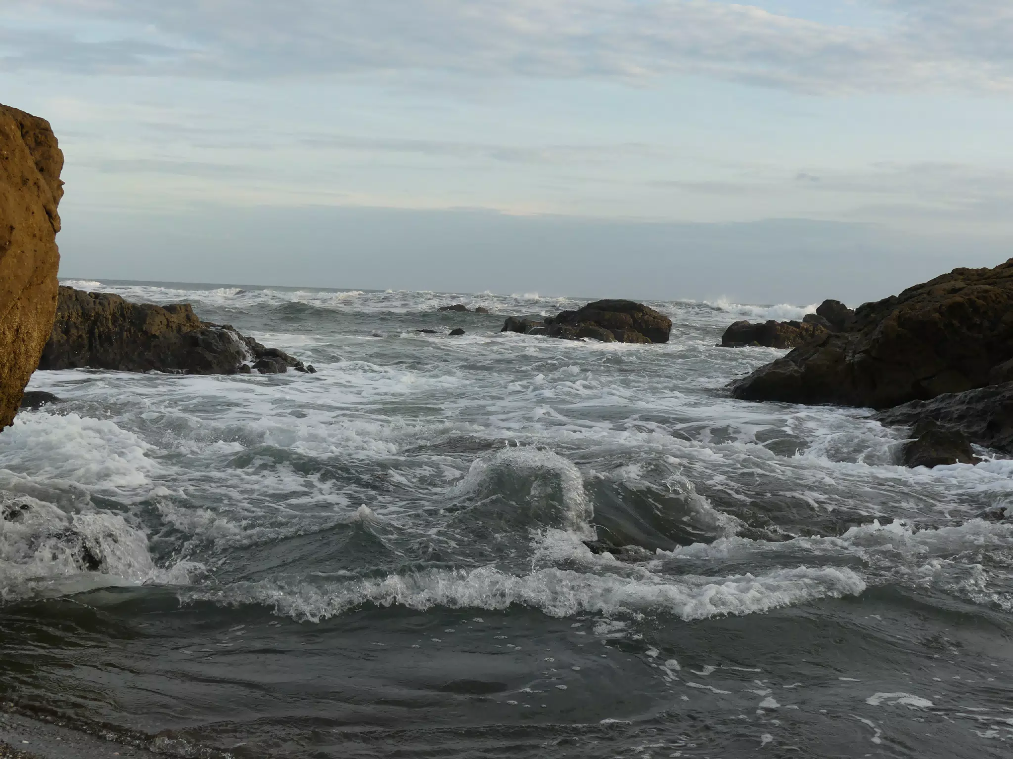 Life Near the Rocks Around Sunset, Las Penitas Beach