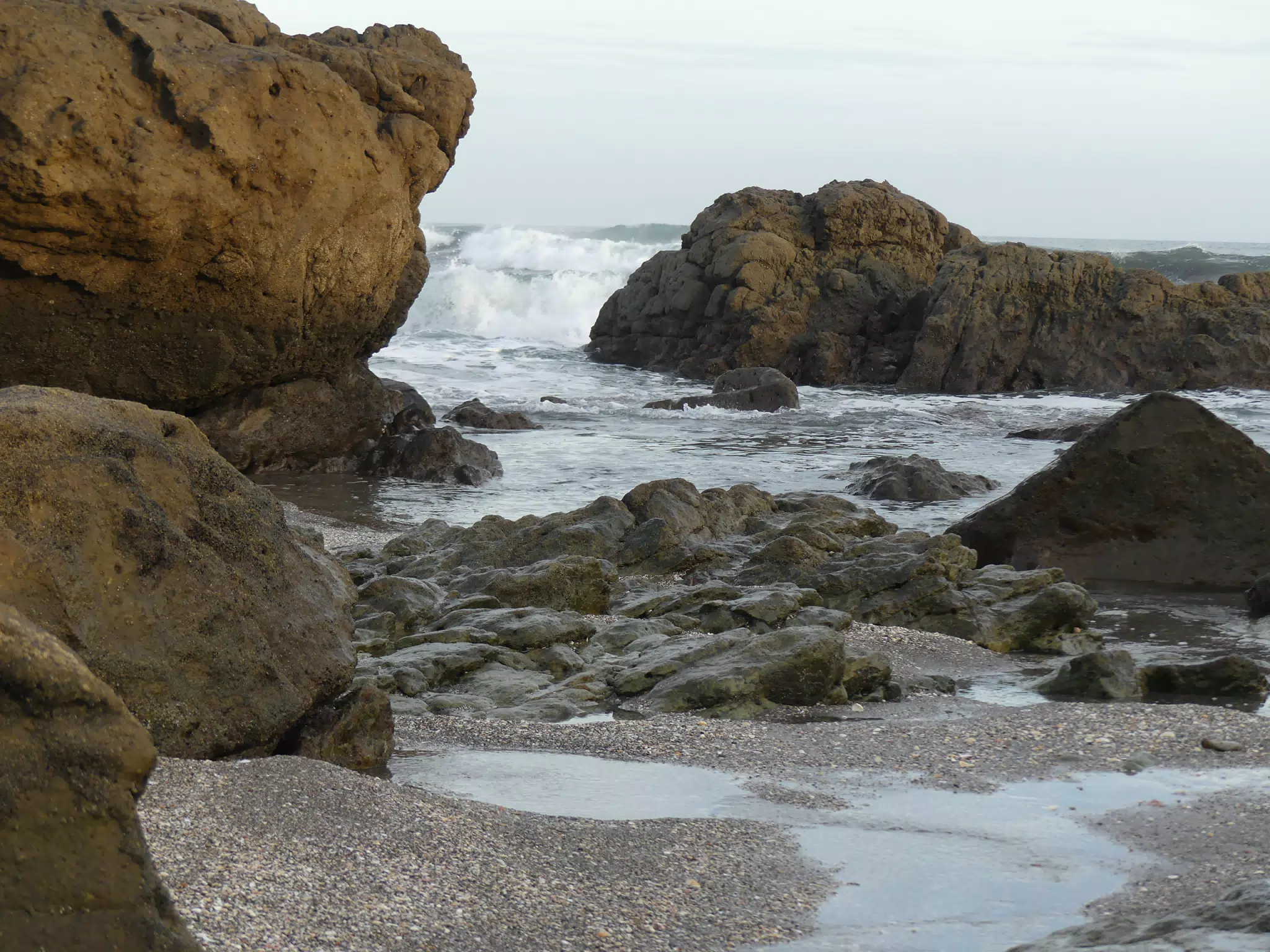 Life Near the Rocks Around Sunset, Las Penitas Beach