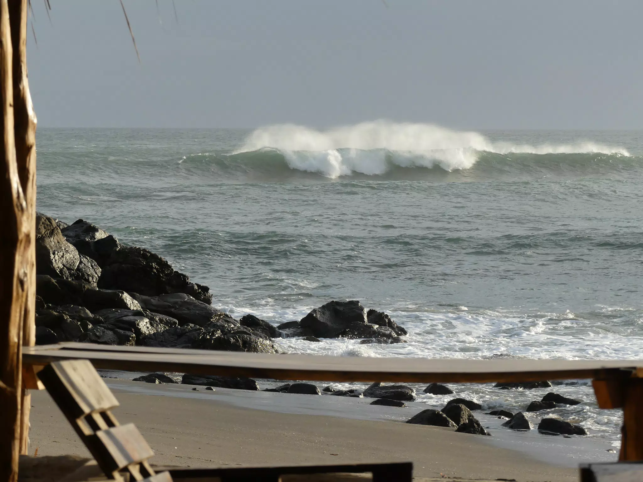 Life Near the Rocks Around Sunset, Las Penitas Beach