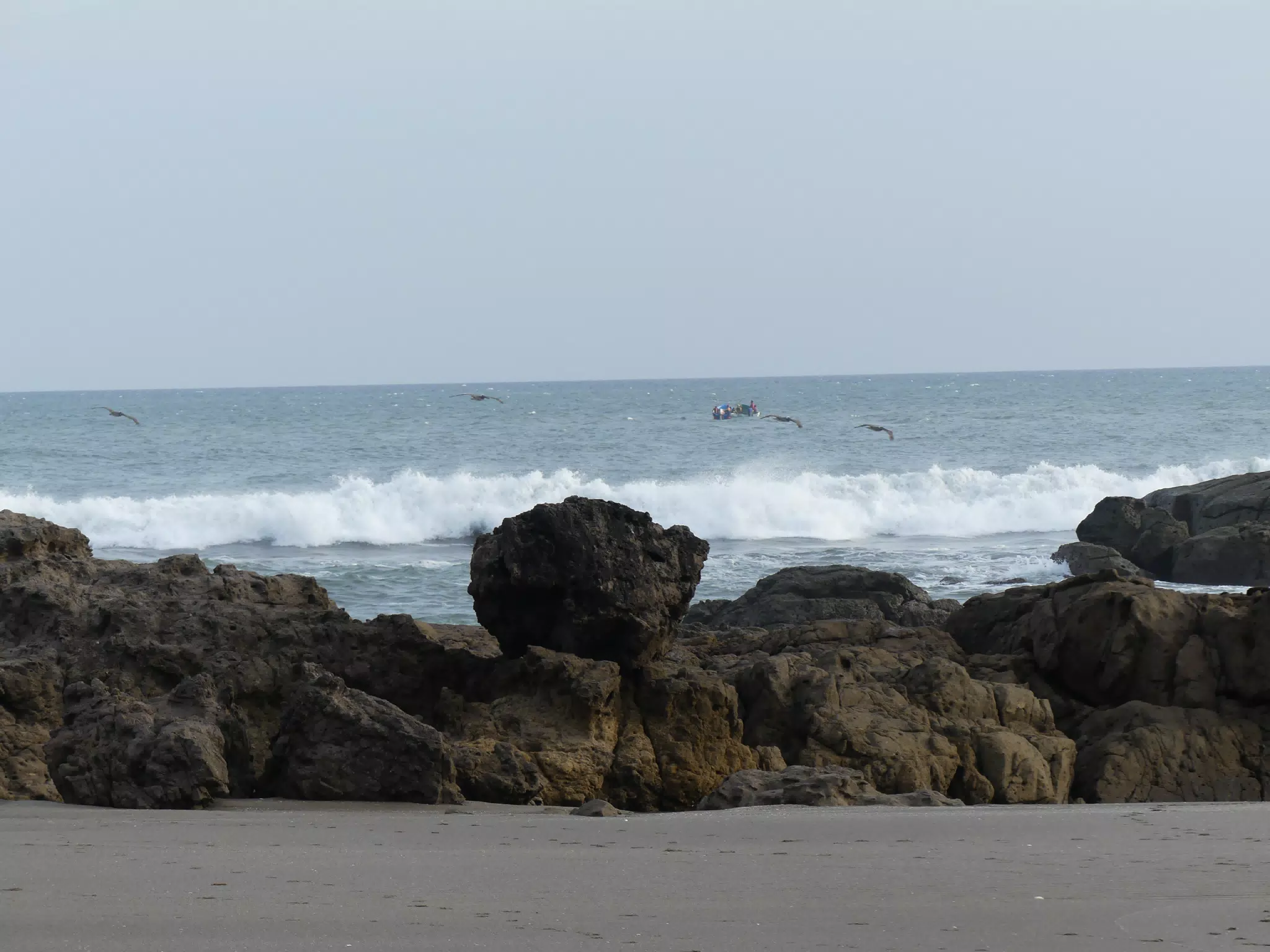 Life Near the Rocks Around Sunset, Las Penitas Beach