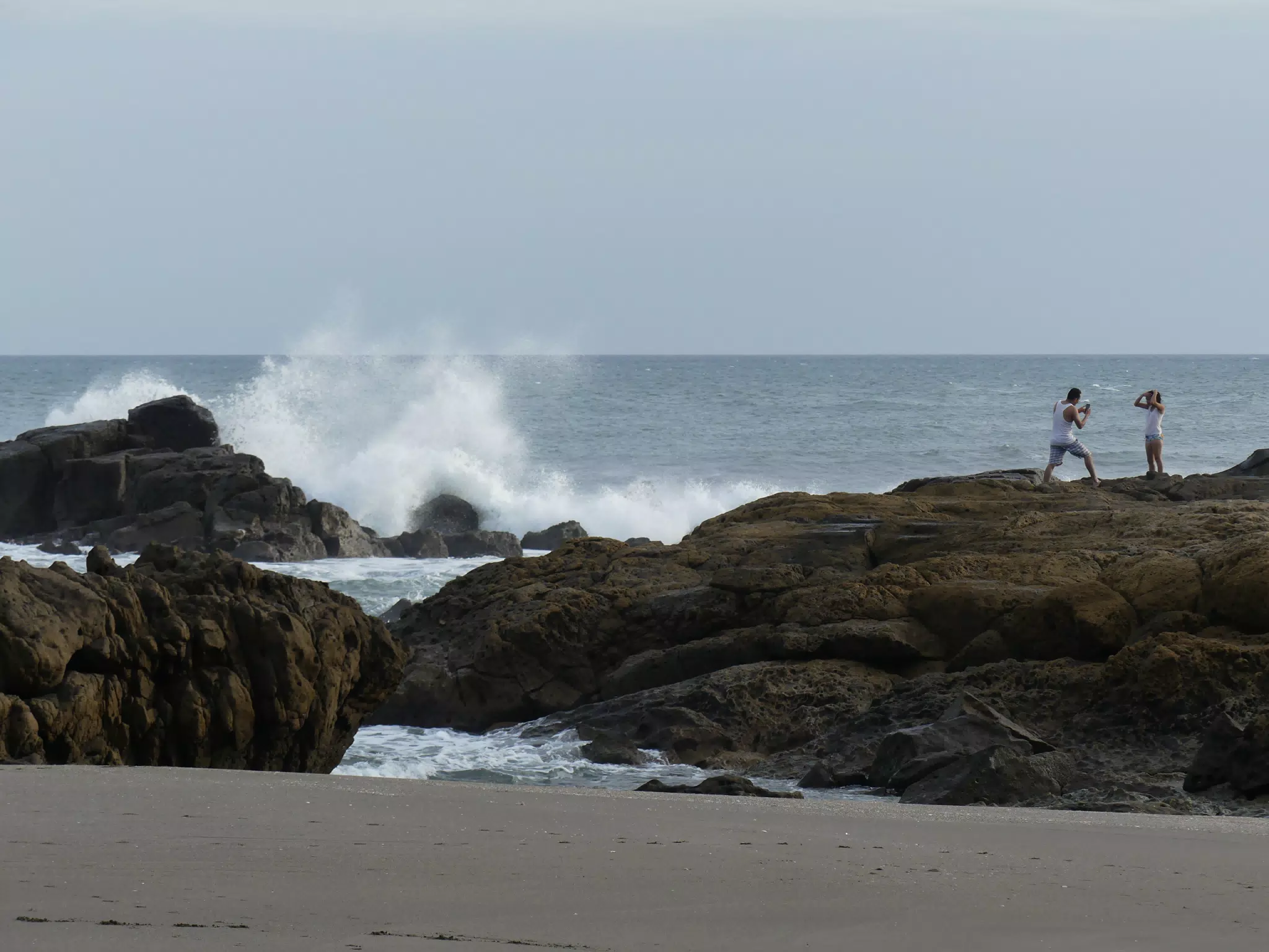 Life Near the Rocks Around Sunset, Las Penitas Beach