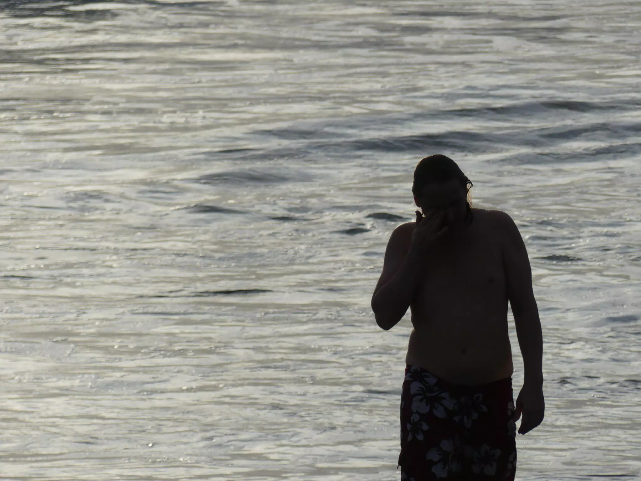 Life Near the Rocks Around Sunset, Las Penitas Beach