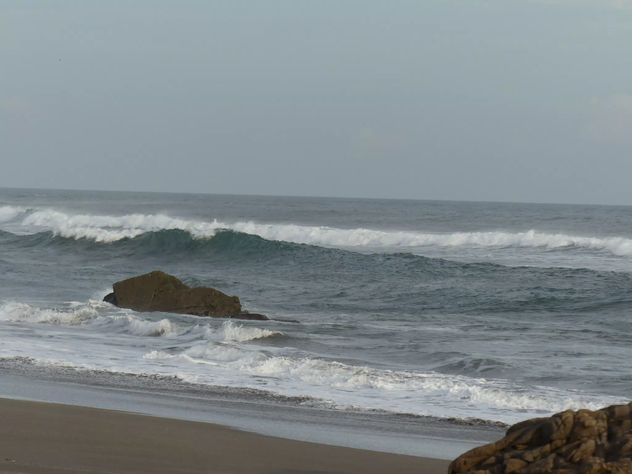 Life Near the Rocks Around Sunset, Las Penitas Beach