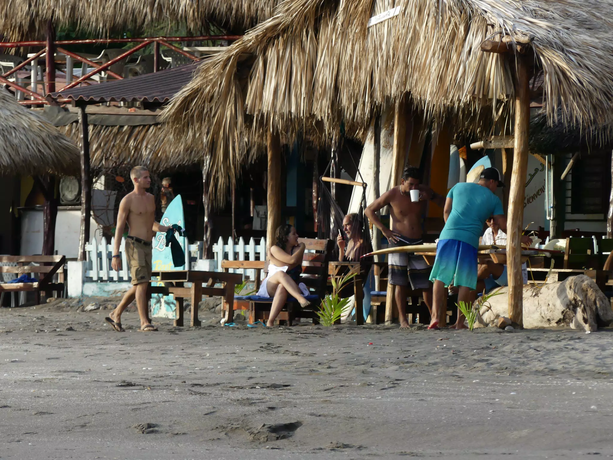 Life Near the Rocks Around Sunset, Las Penitas Beach
