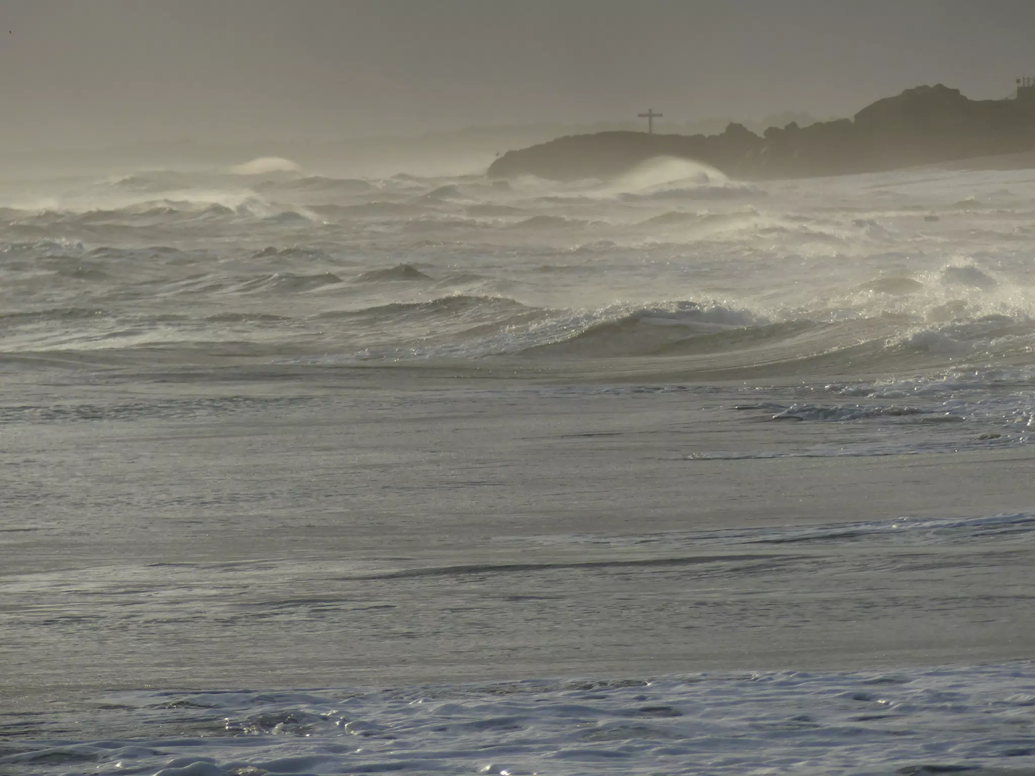 Life Near the Rocks Around Sunset, Las Penitas Beach