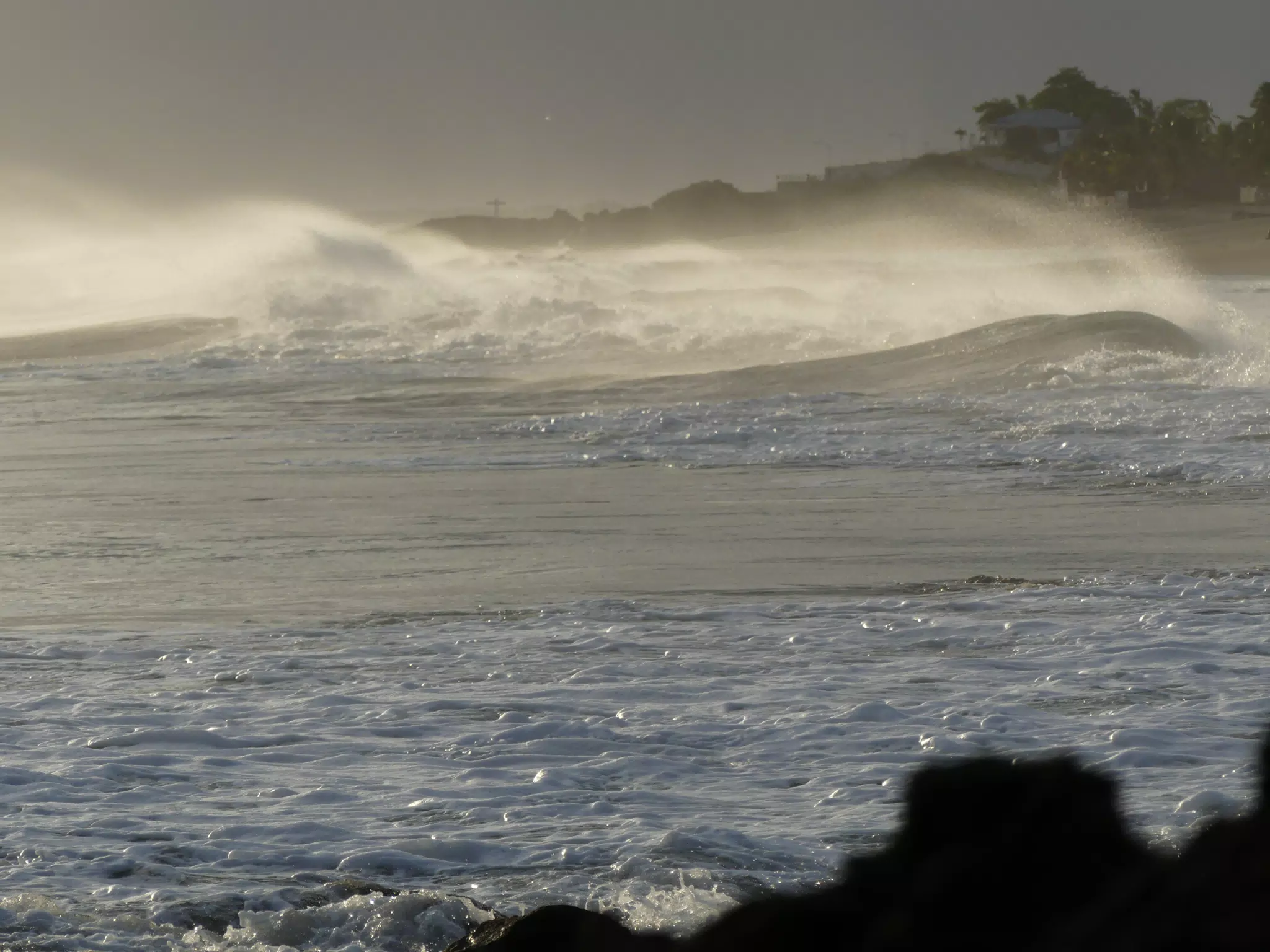 Life Near the Rocks Around Sunset, Las Penitas Beach