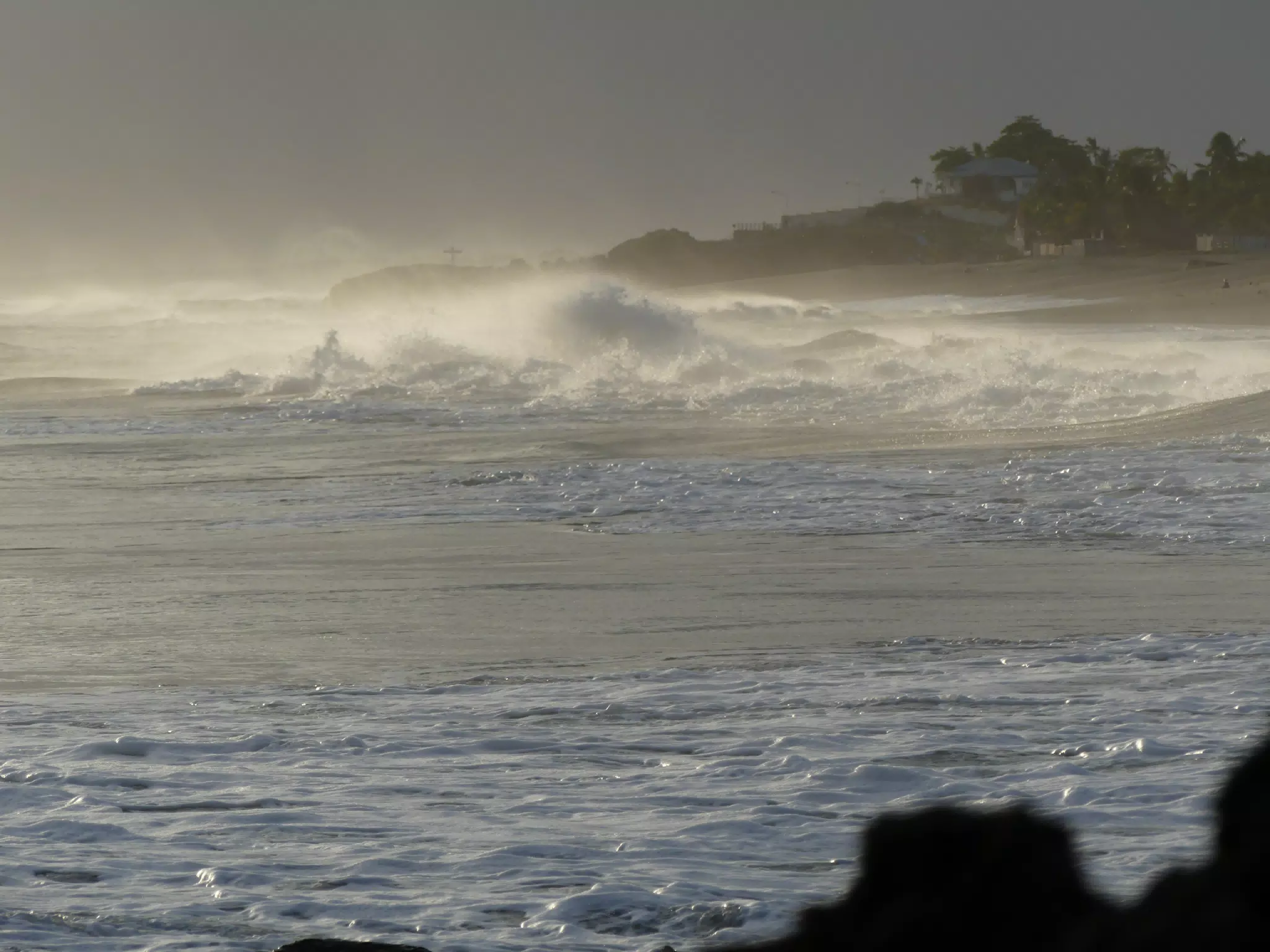 Life Near the Rocks Around Sunset, Las Penitas Beach