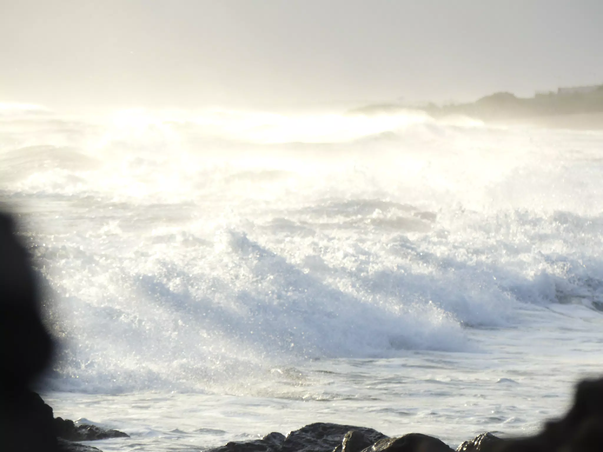 Life Near the Rocks Around Sunset, Las Penitas Beach