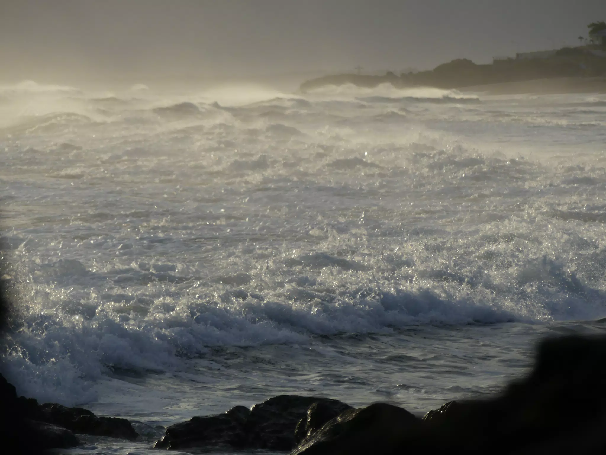 Life Near the Rocks Around Sunset, Las Penitas Beach