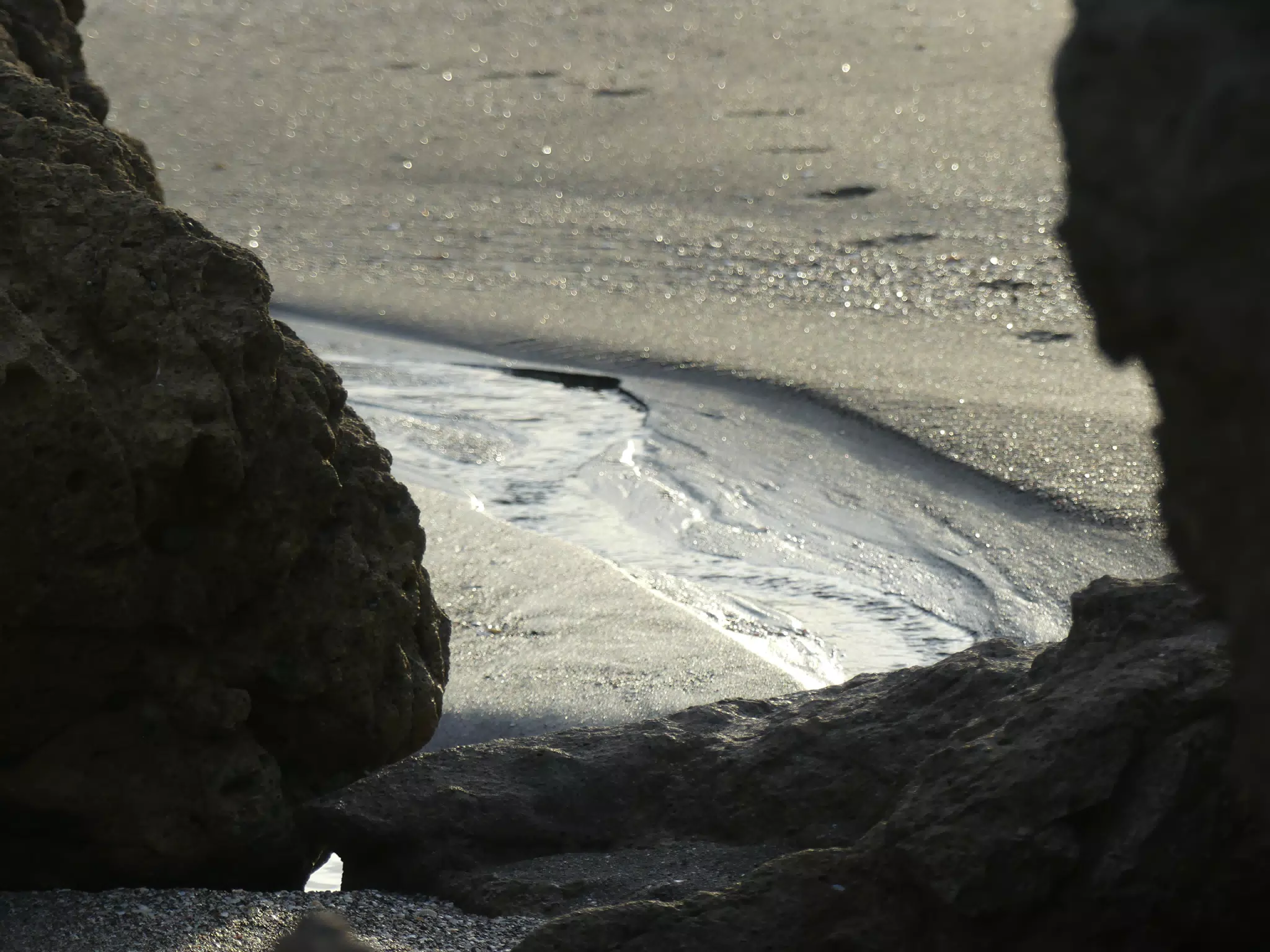Life Near the Rocks Around Sunset, Las Penitas Beach