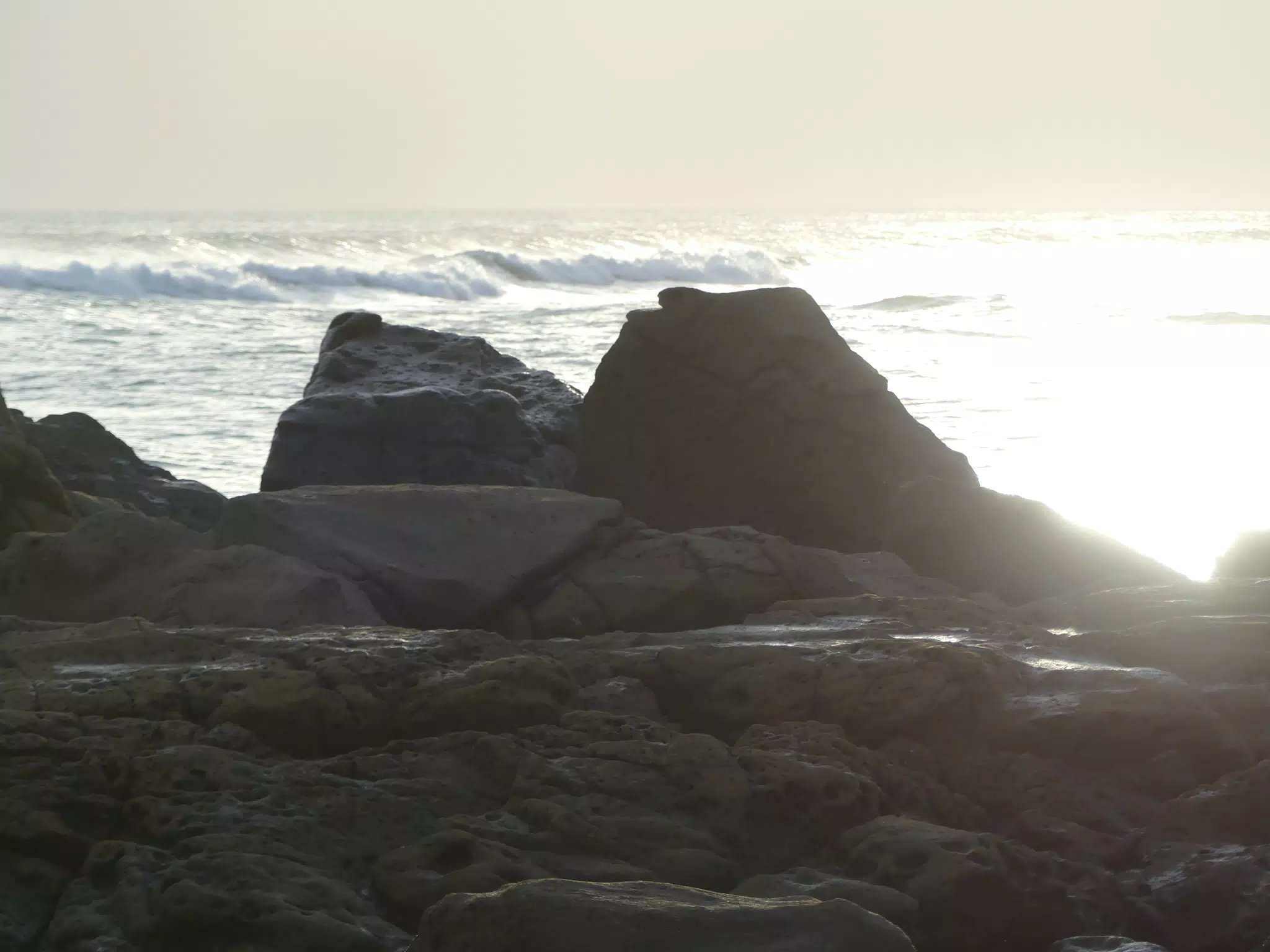 Life Near the Rocks Around Sunset, Las Penitas Beach