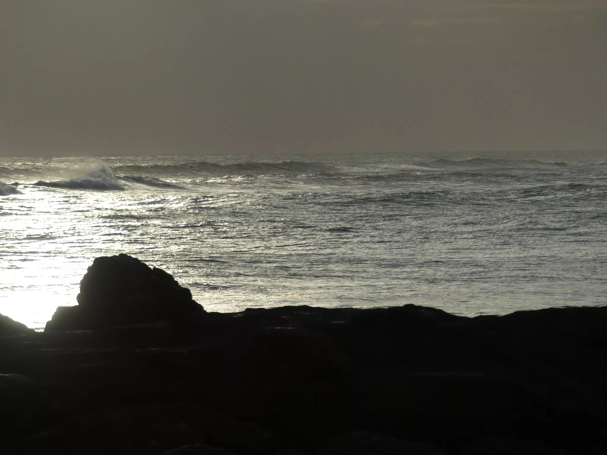 Life Near the Rocks Around Sunset, Las Penitas Beach