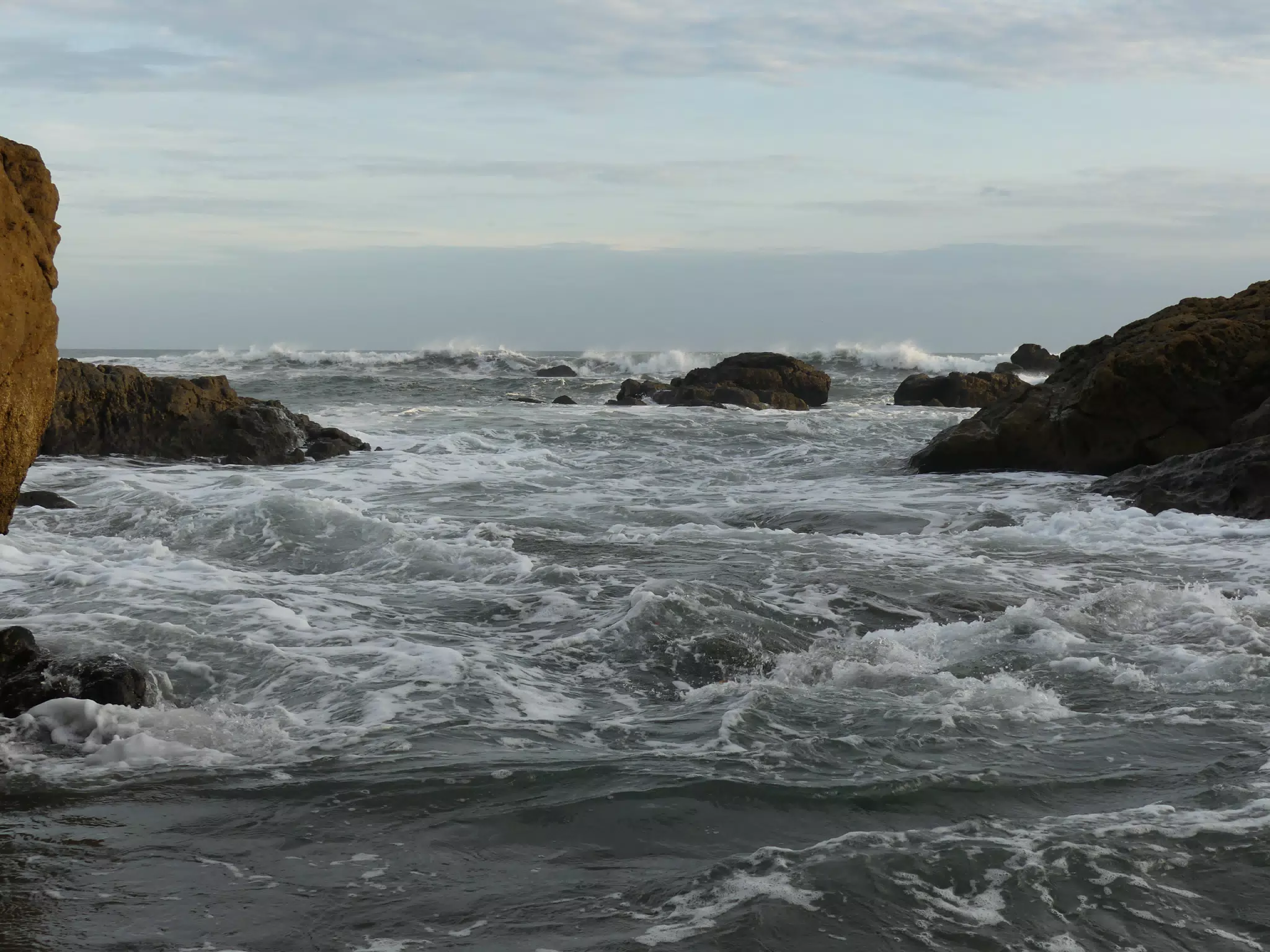 Life Near the Rocks Around Sunset, Las Penitas Beach