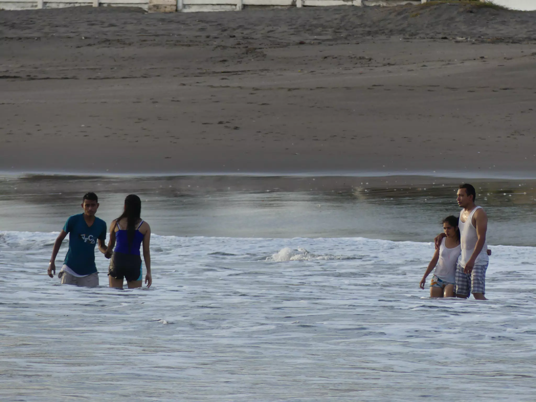 Life Near the Rocks Around Sunset, Las Penitas Beach