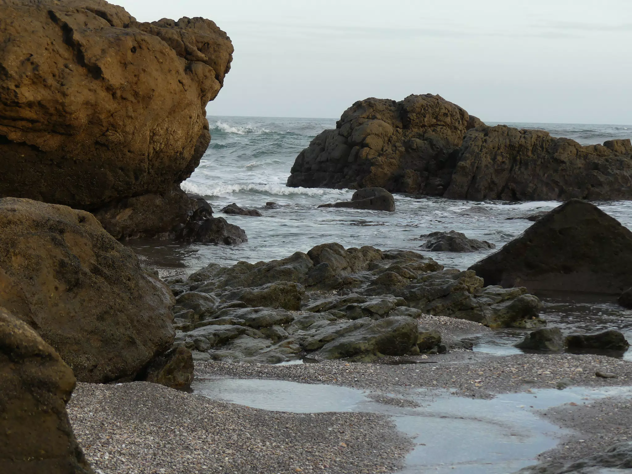 Life Near the Rocks Around Sunset, Las Penitas Beach