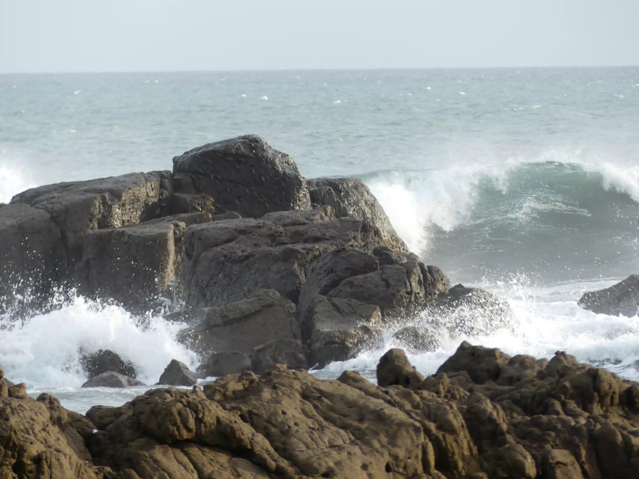 Life Near the Rocks Around Sunset, Las Penitas Beach