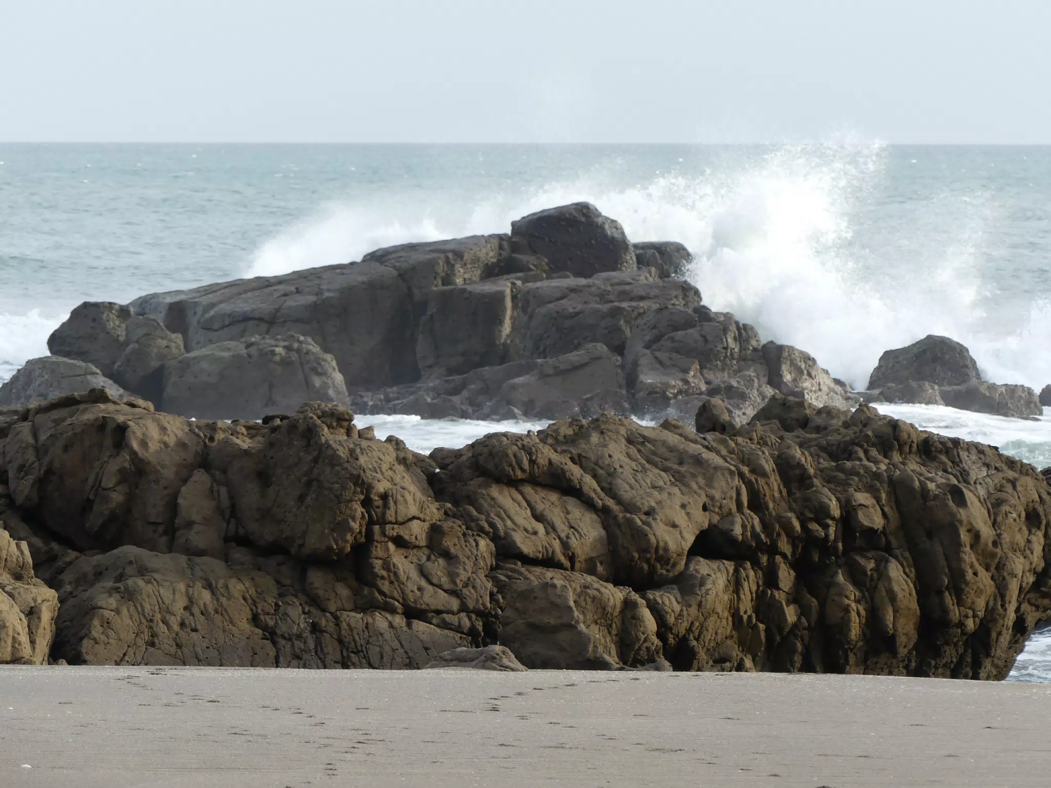Life Near the Rocks Around Sunset, Las Penitas Beach