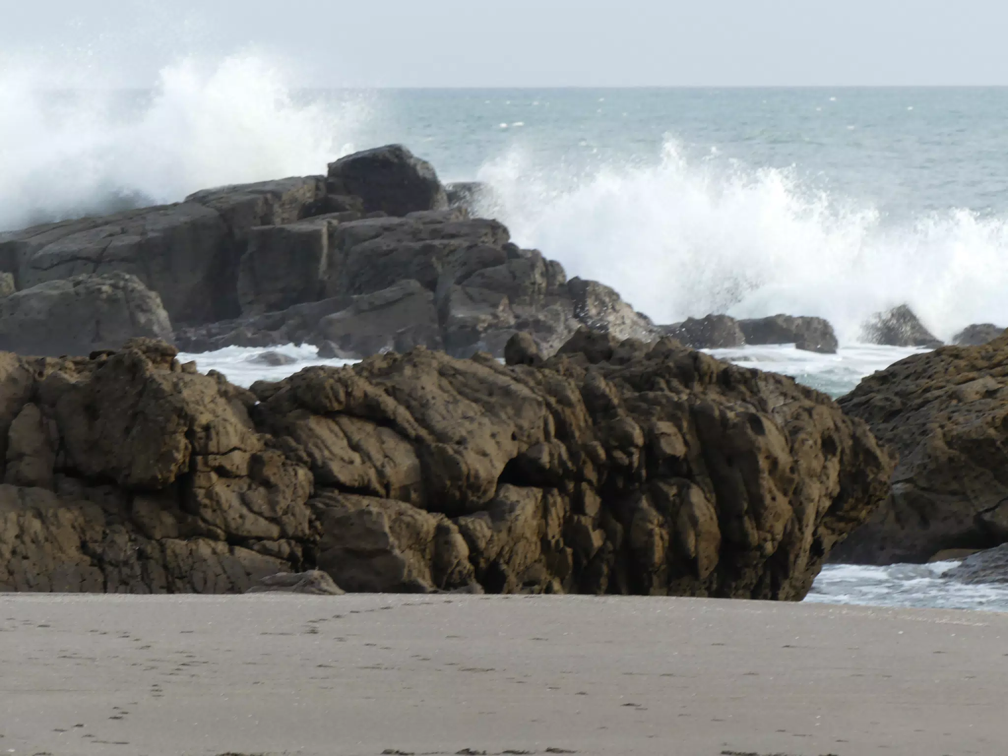 Life Near the Rocks Around Sunset, Las Penitas Beach