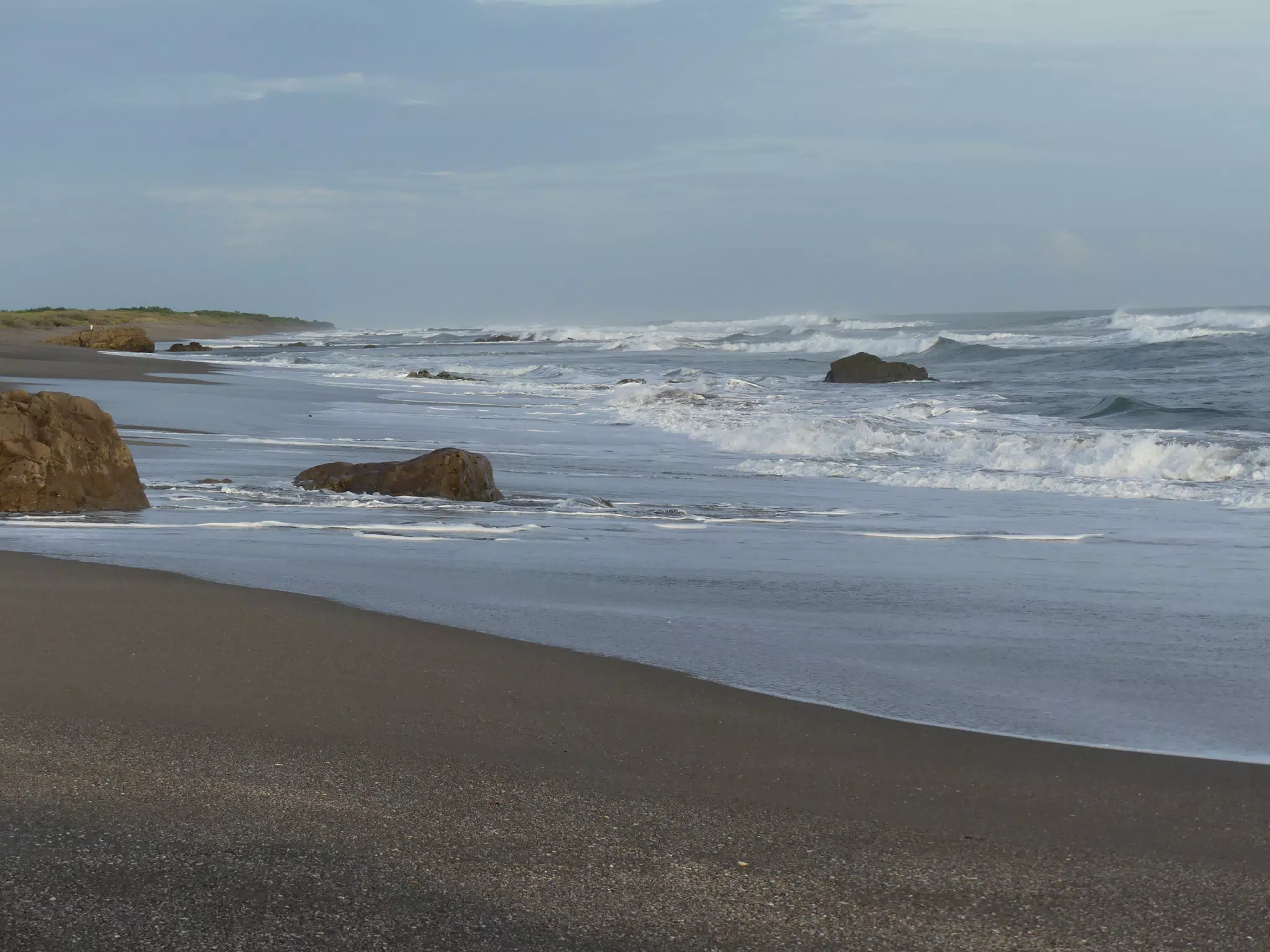 Life Near the Rocks Around Sunset, Las Penitas Beach