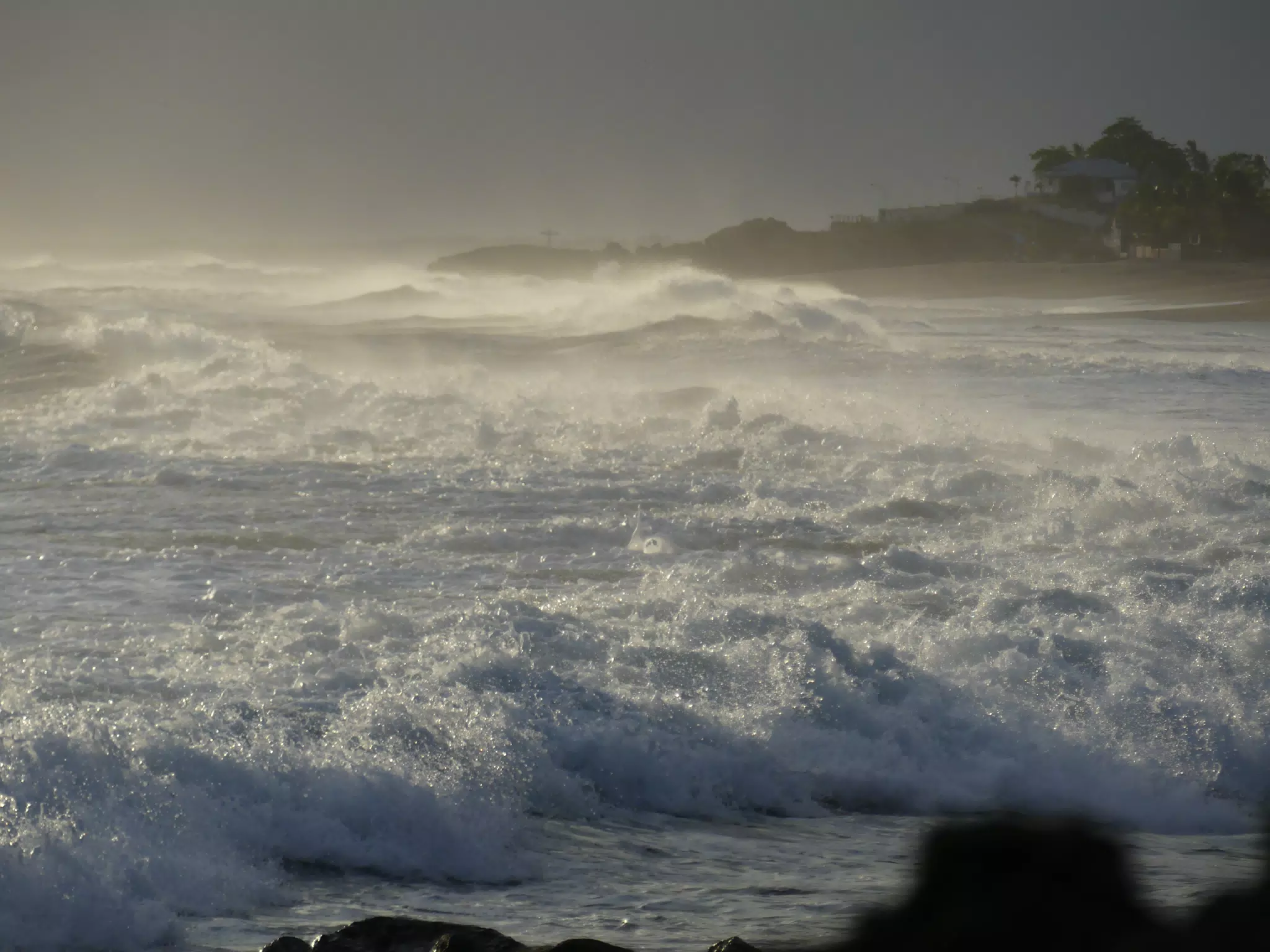 Life Near the Rocks Around Sunset, Las Penitas Beach