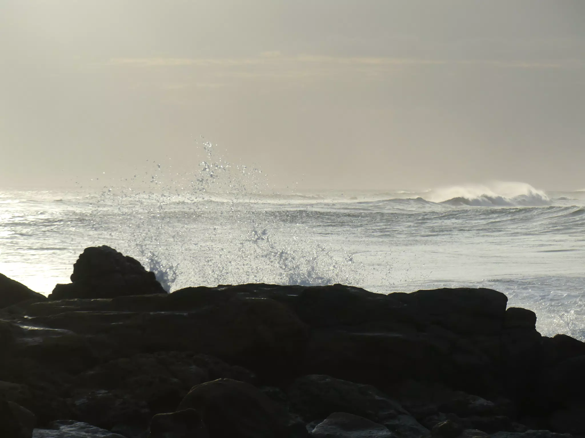 Life Near the Rocks Around Sunset, Las Penitas Beach