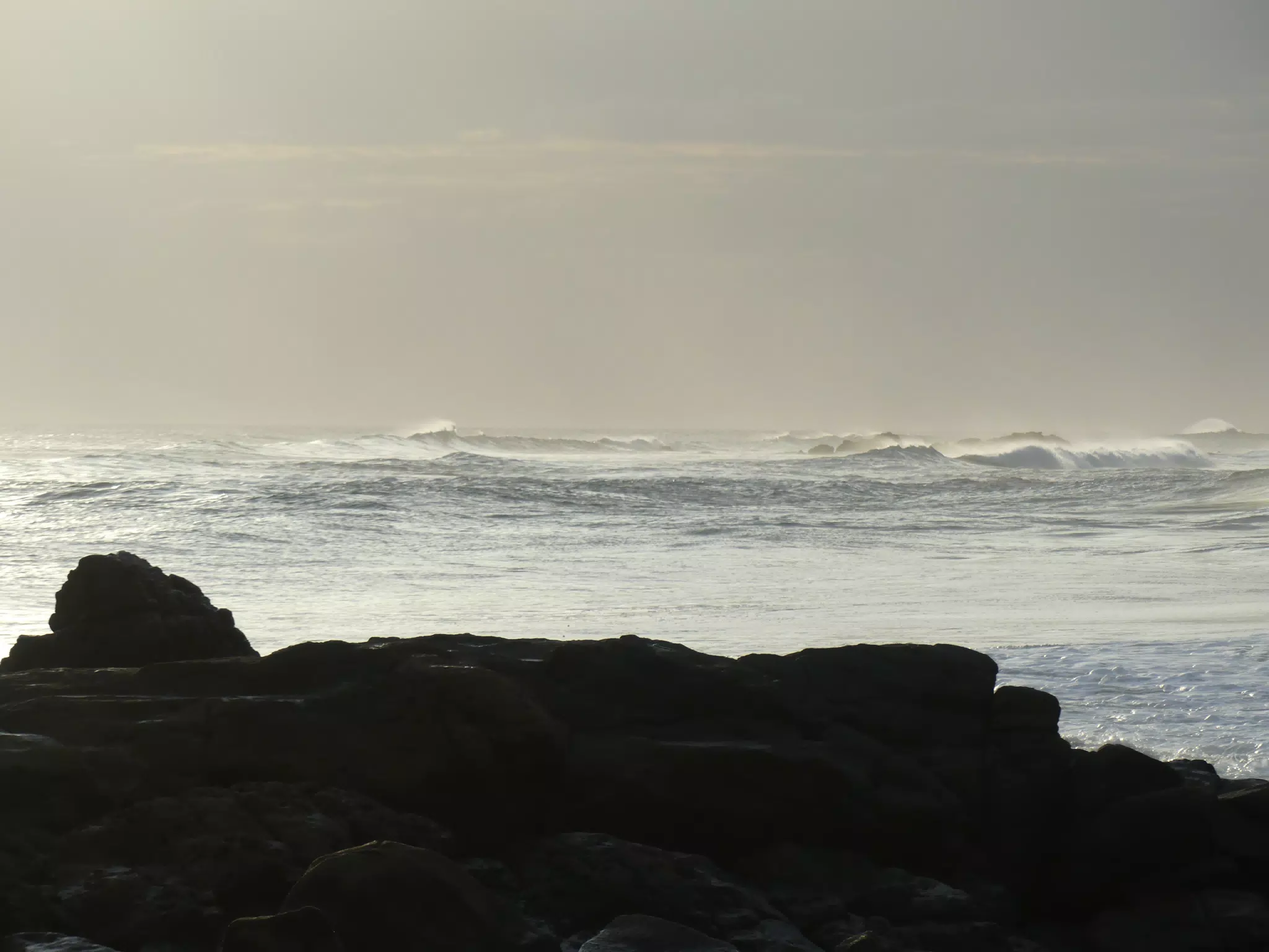 Life Near the Rocks Around Sunset, Las Penitas Beach
