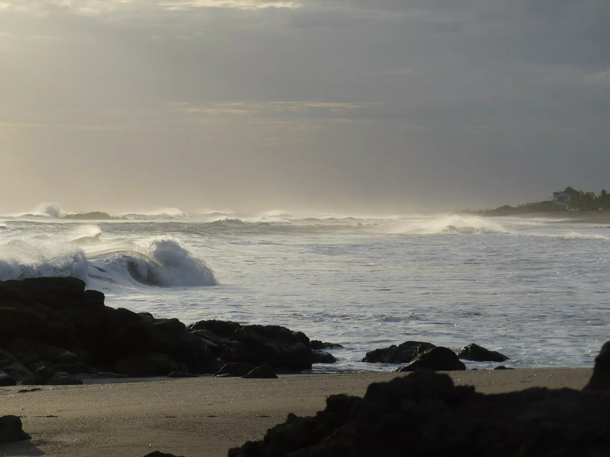 Life Near the Rocks Around Sunset, Las Penitas Beach