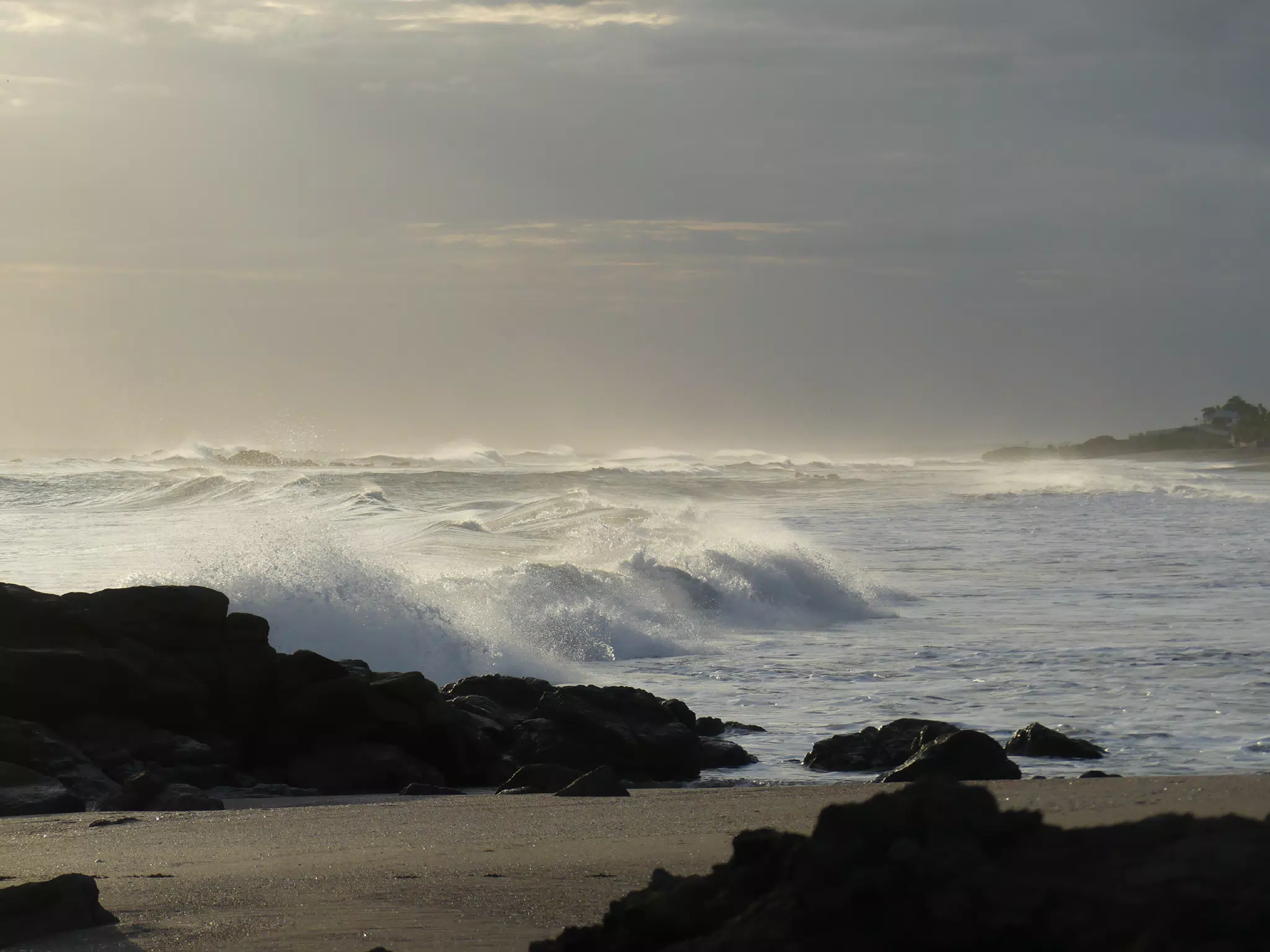Life Near the Rocks Around Sunset, Las Penitas Beach