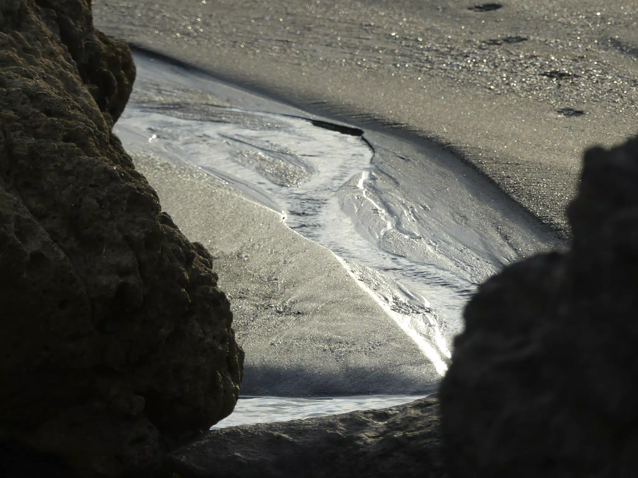 Life Near the Rocks Around Sunset, Las Penitas Beach