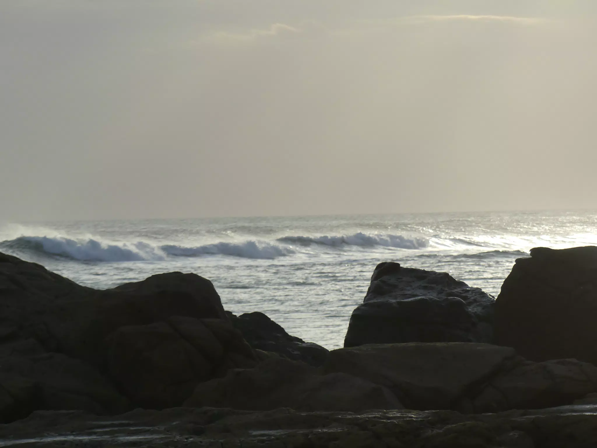 Life Near the Rocks Around Sunset, Las Penitas Beach